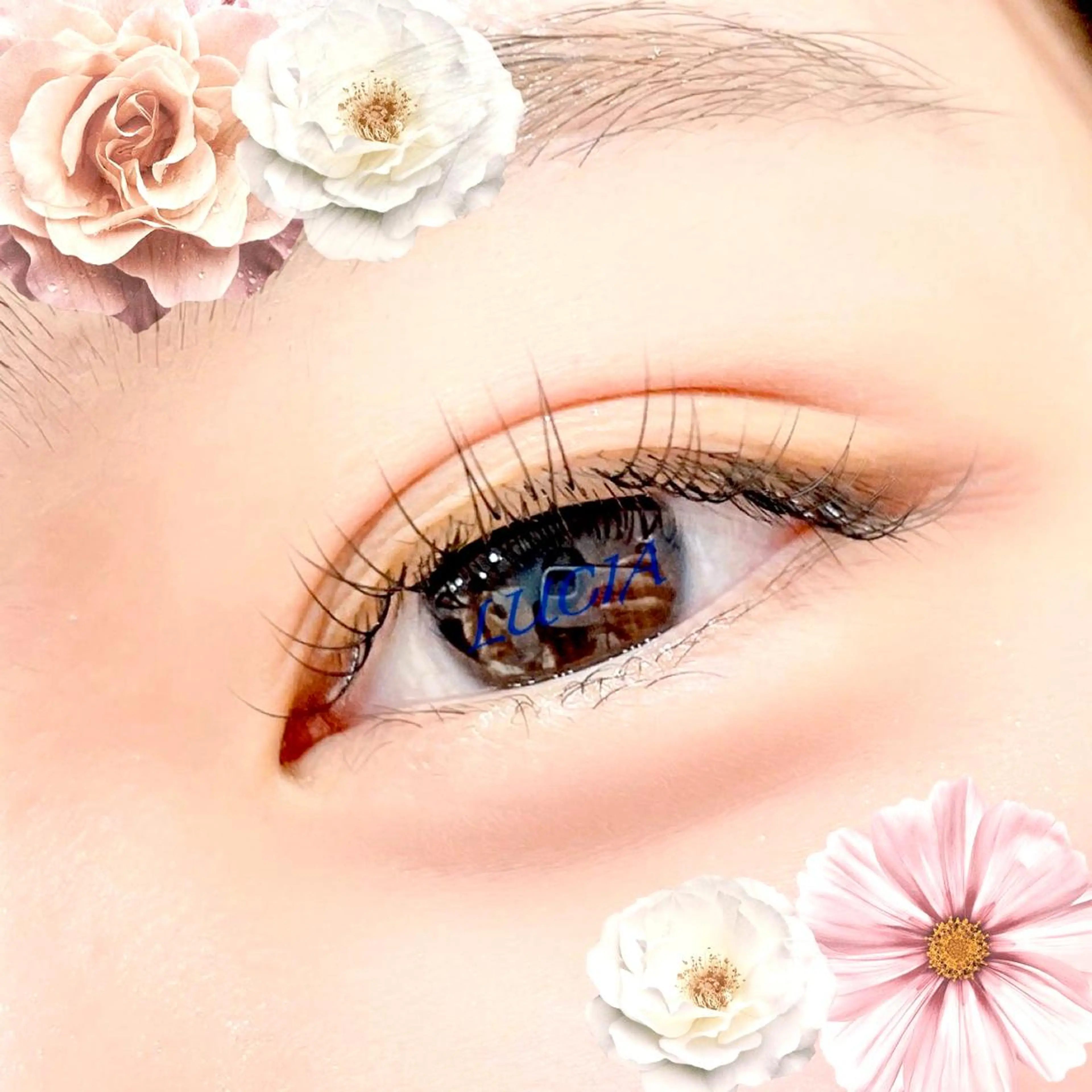 マツエク・マツパ マツエク LUCIA ルチアの眉毛・アイブロウイメージ