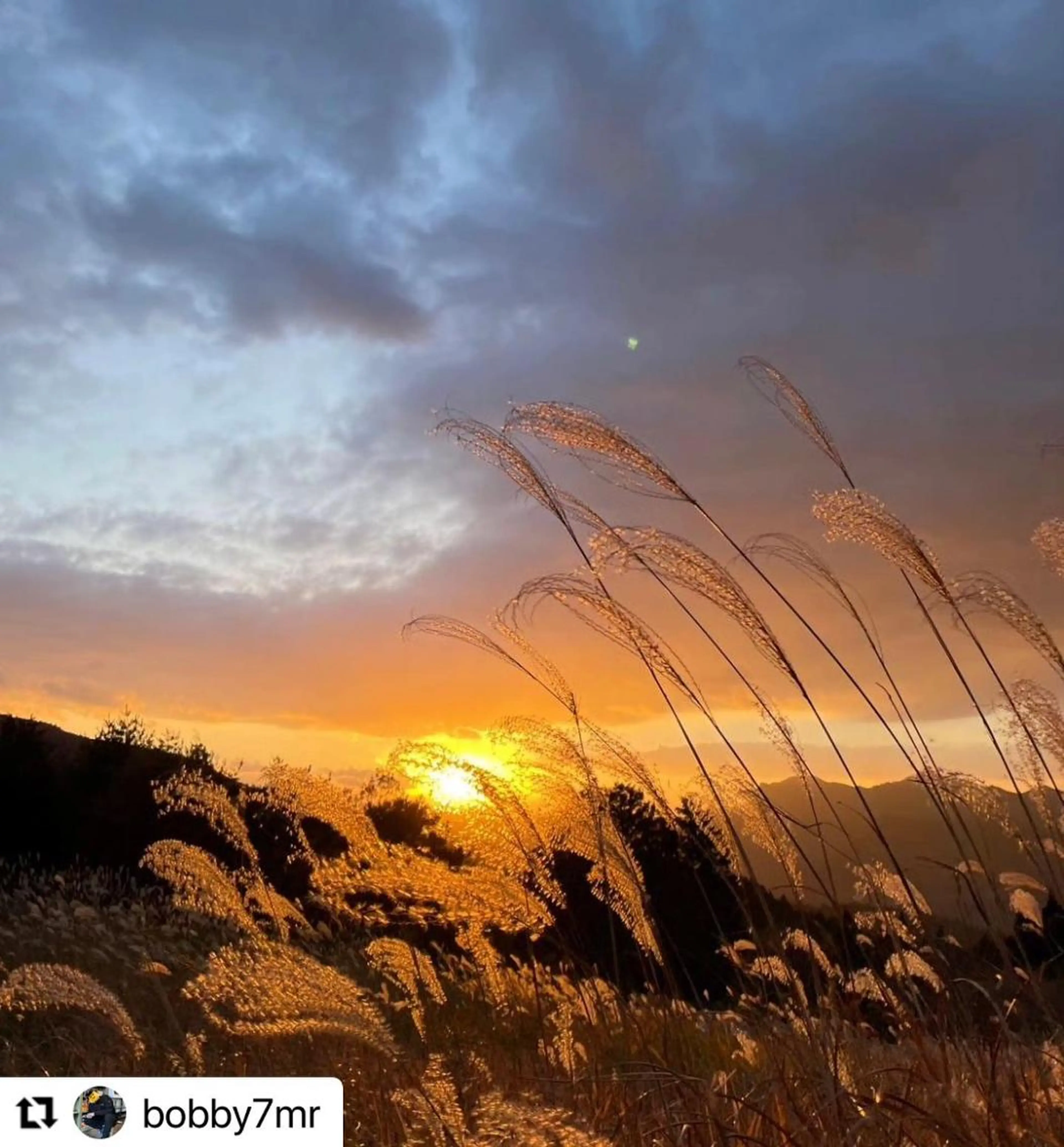 ミディアム カラー メンズ 🩷Eny terrace🩷のヘアスタイル