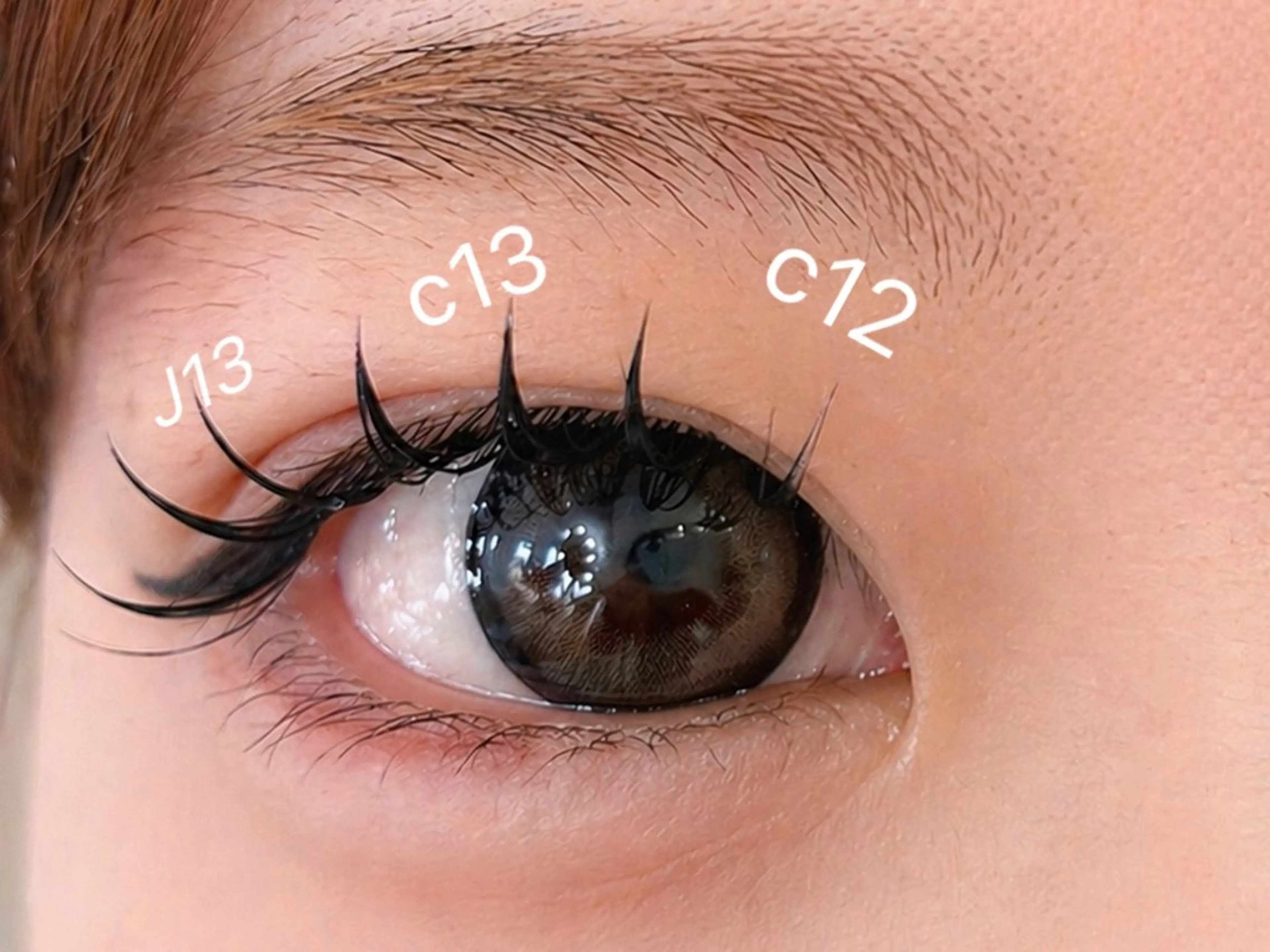 ダブルフラットラッシュ 70束（140本）コーティング付き（オフ有り）の写真