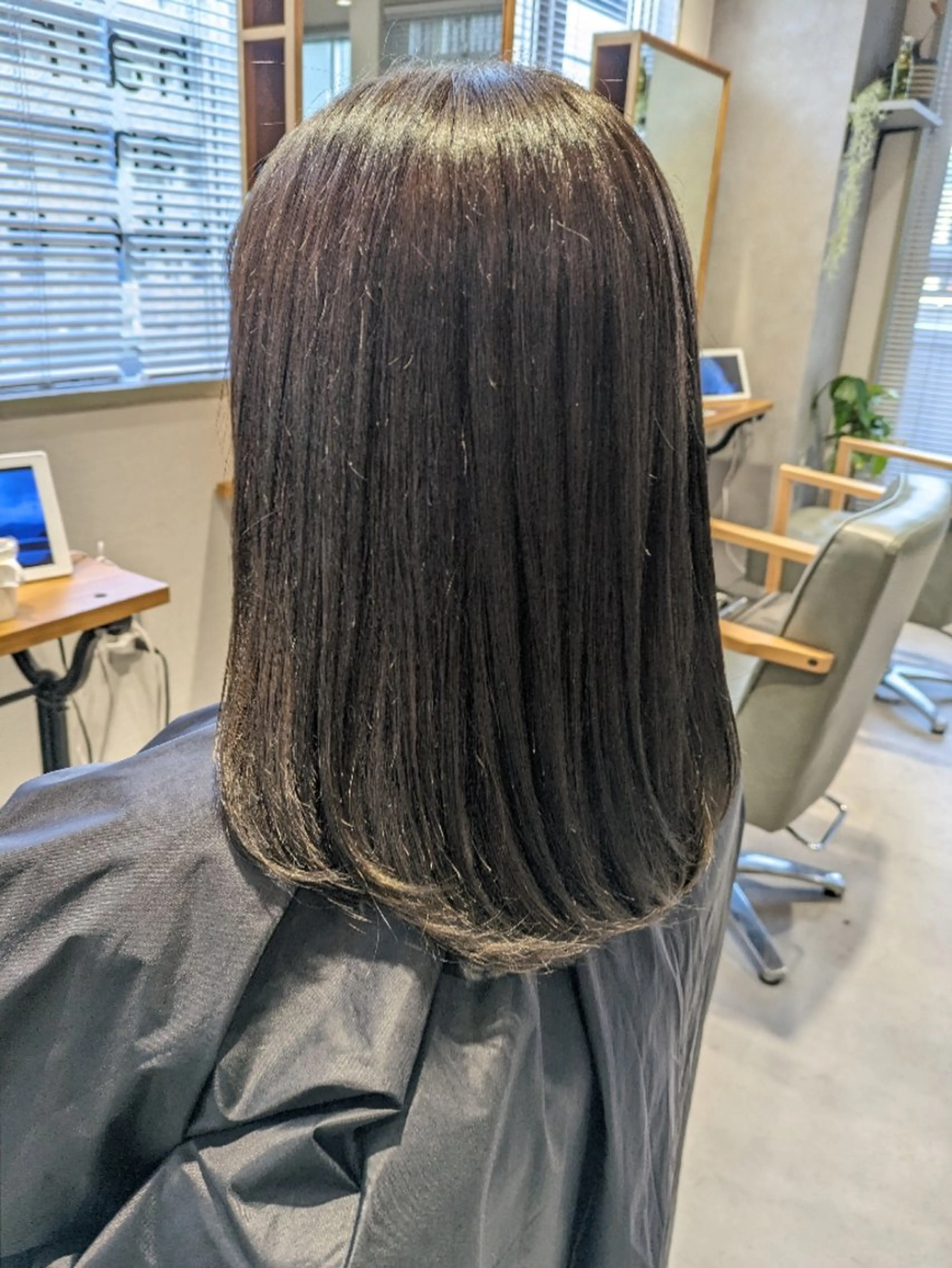ミディアム ヘアアレンジ カラー アッシュ グラデーションカラー オリーブグレー カット ヘアカラー 小國 綾かのヘアスタイル