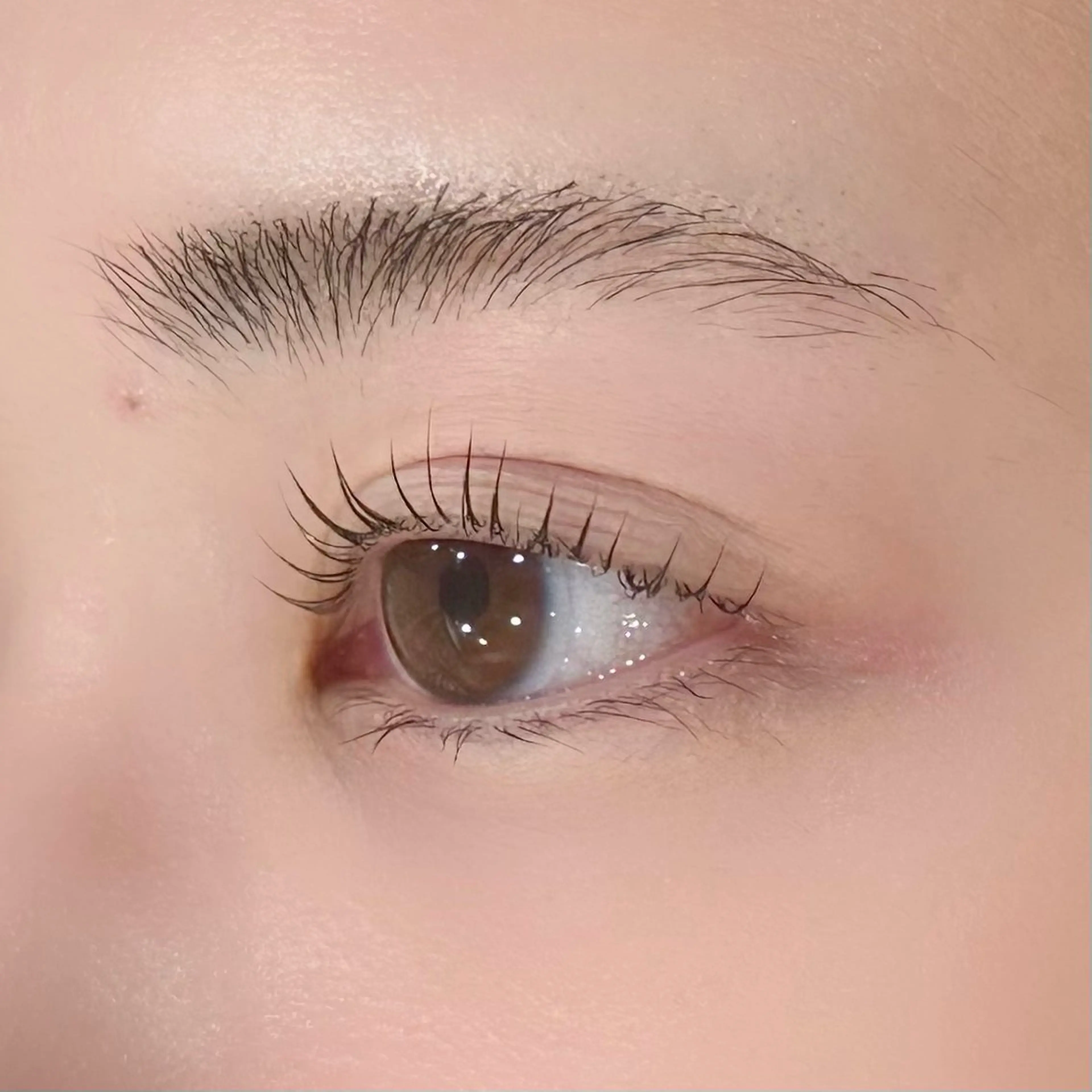 マツエク・マツパ Cカール Lカール パリジェンヌラッシュリフト 一重×まつ毛パーマ eyelash Zen　manakaのマツエク・マツパデザイン