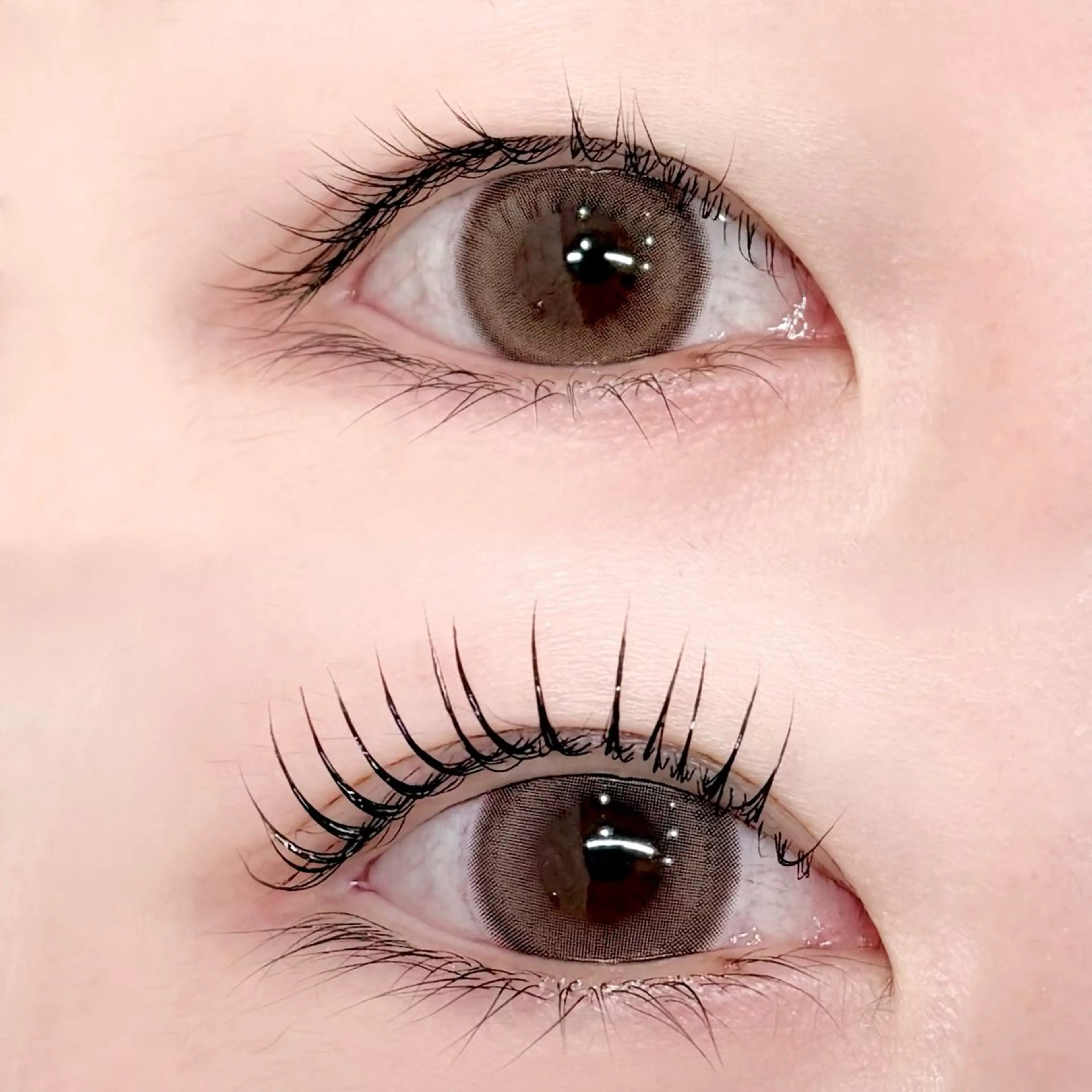 パリジェンヌラッシュリフト🌷✨《3回目まで利用可能》の写真