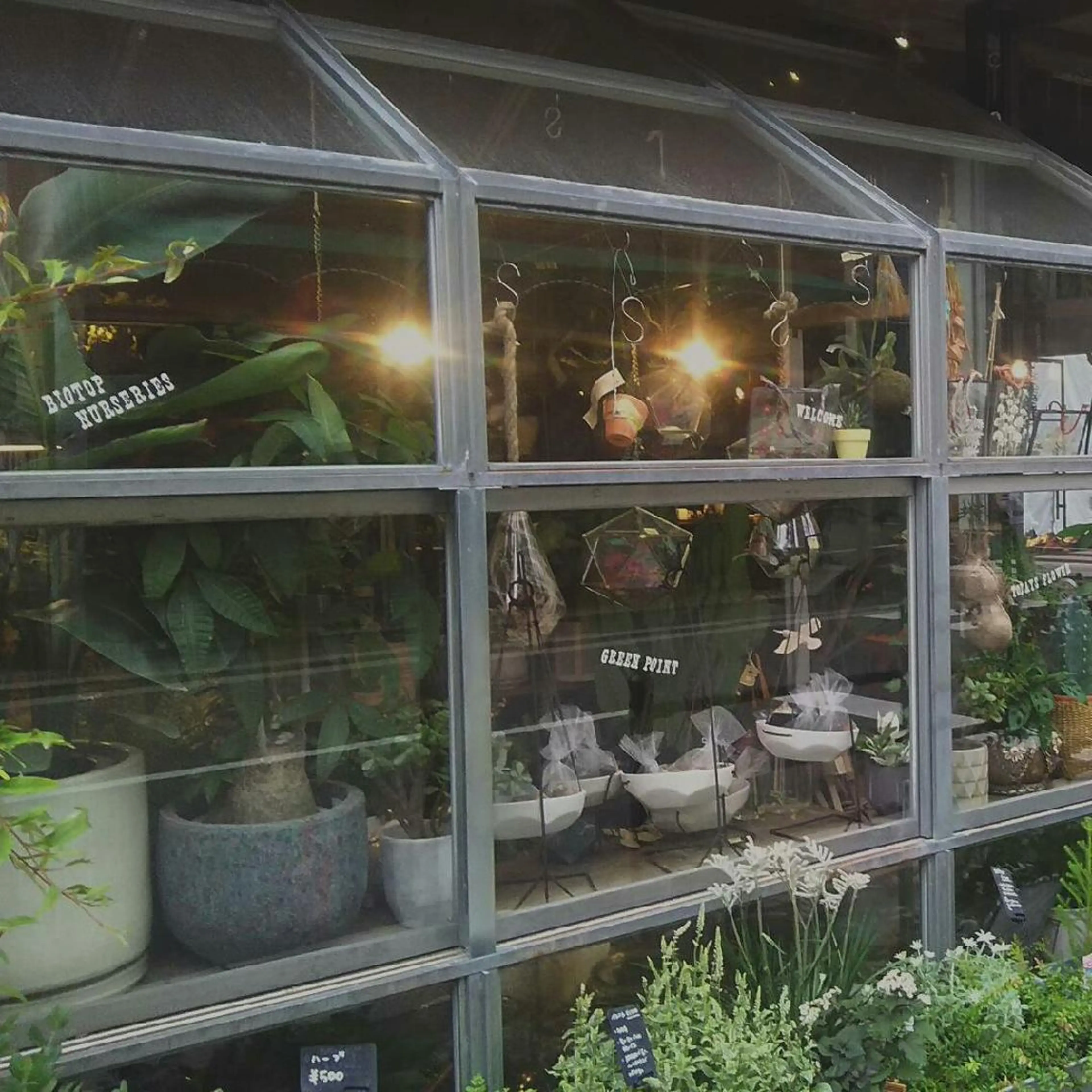 iplus まつげ、眉毛、耳つぼのマツエク・マツパデザイン