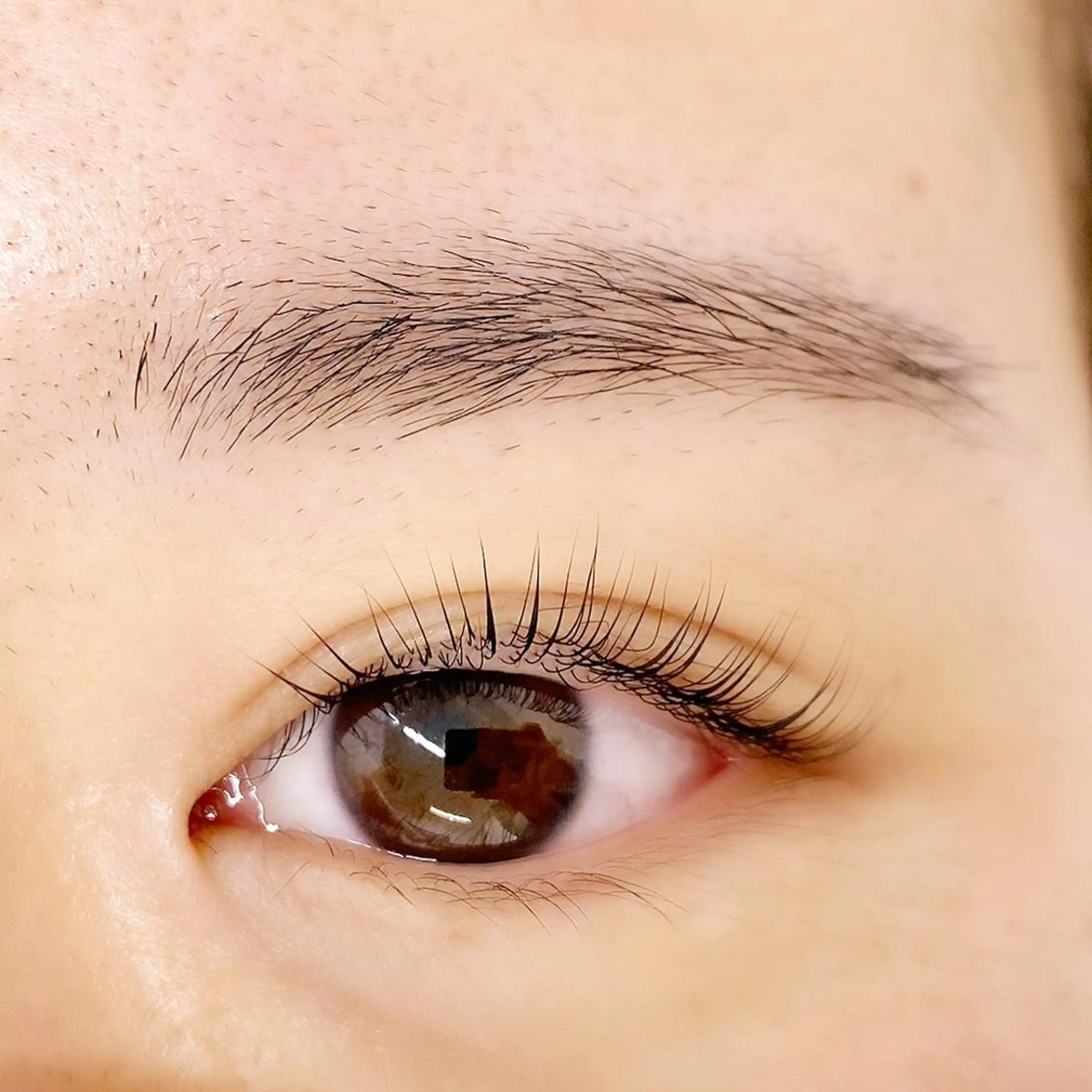 マツエク・マツパ パリジェンヌラッシュリフト eyelash mayuのマツエク・マツパデザイン