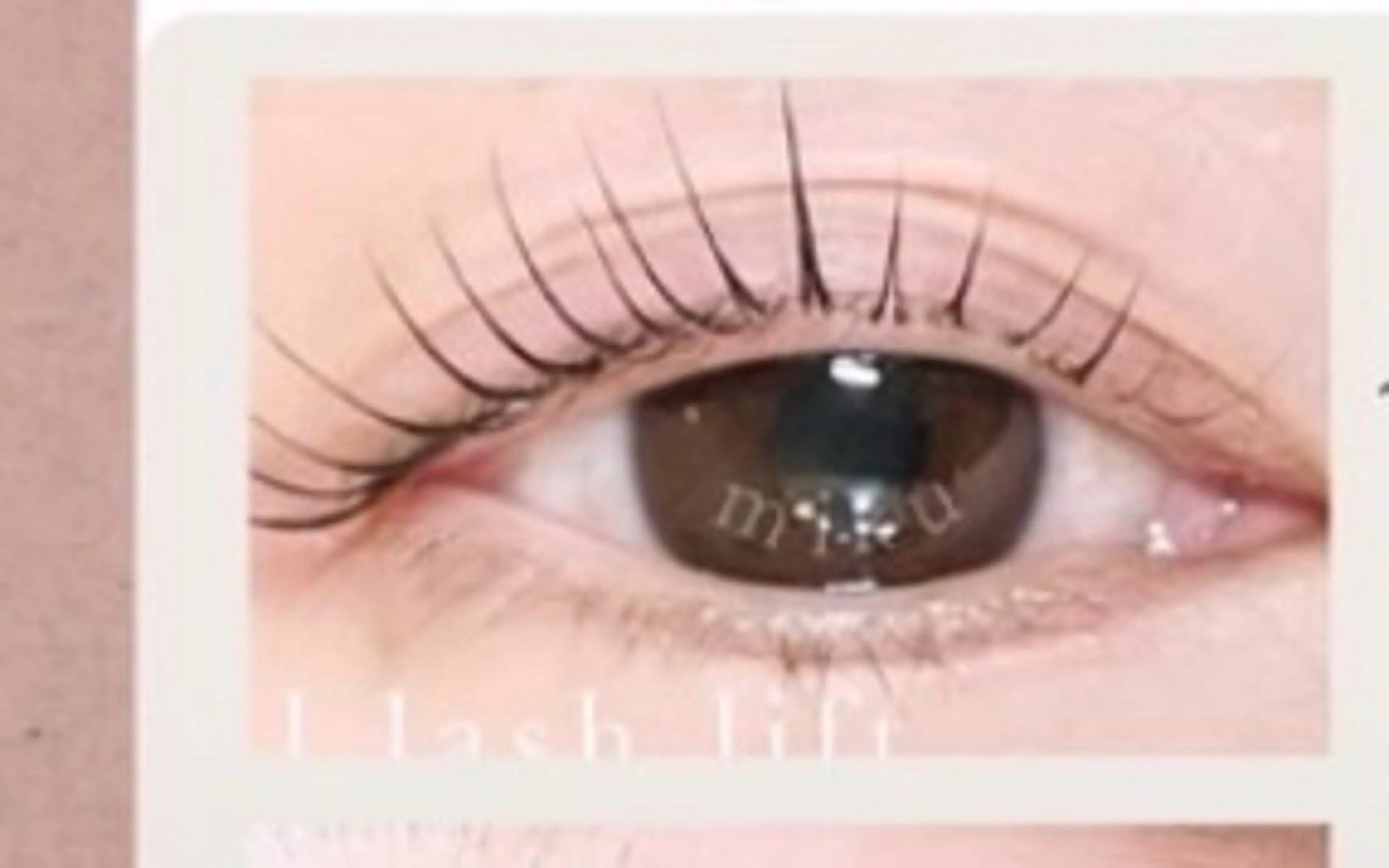 【まつ毛パーマ💞ダウン✖️ラッシュ】メーテルラッシュ¥3480の写真