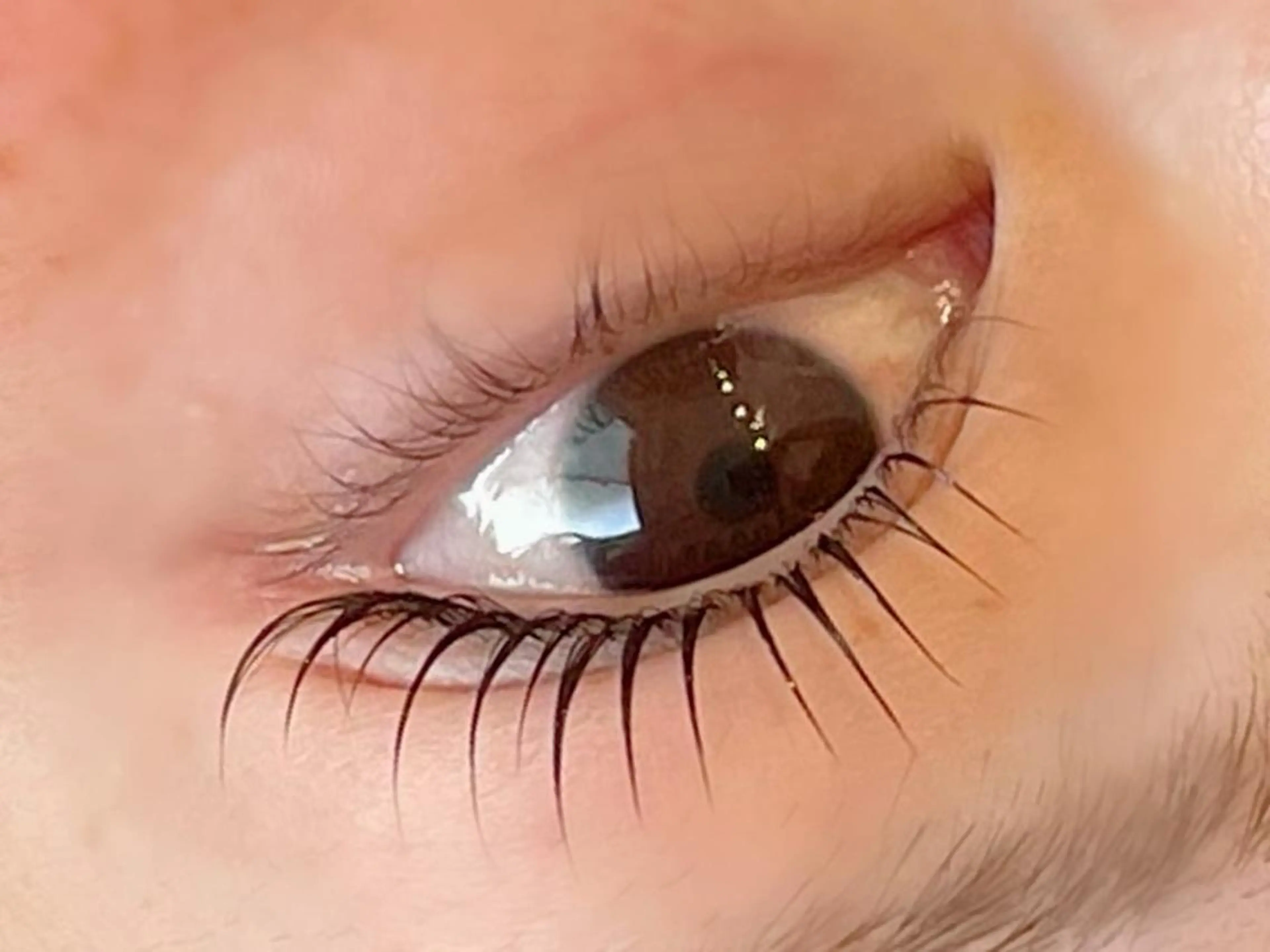 マツエク・マツパ マツパ nashira 恵比寿所属・nashira 恵比寿Saki🌻のマツエク・マツパデザイン