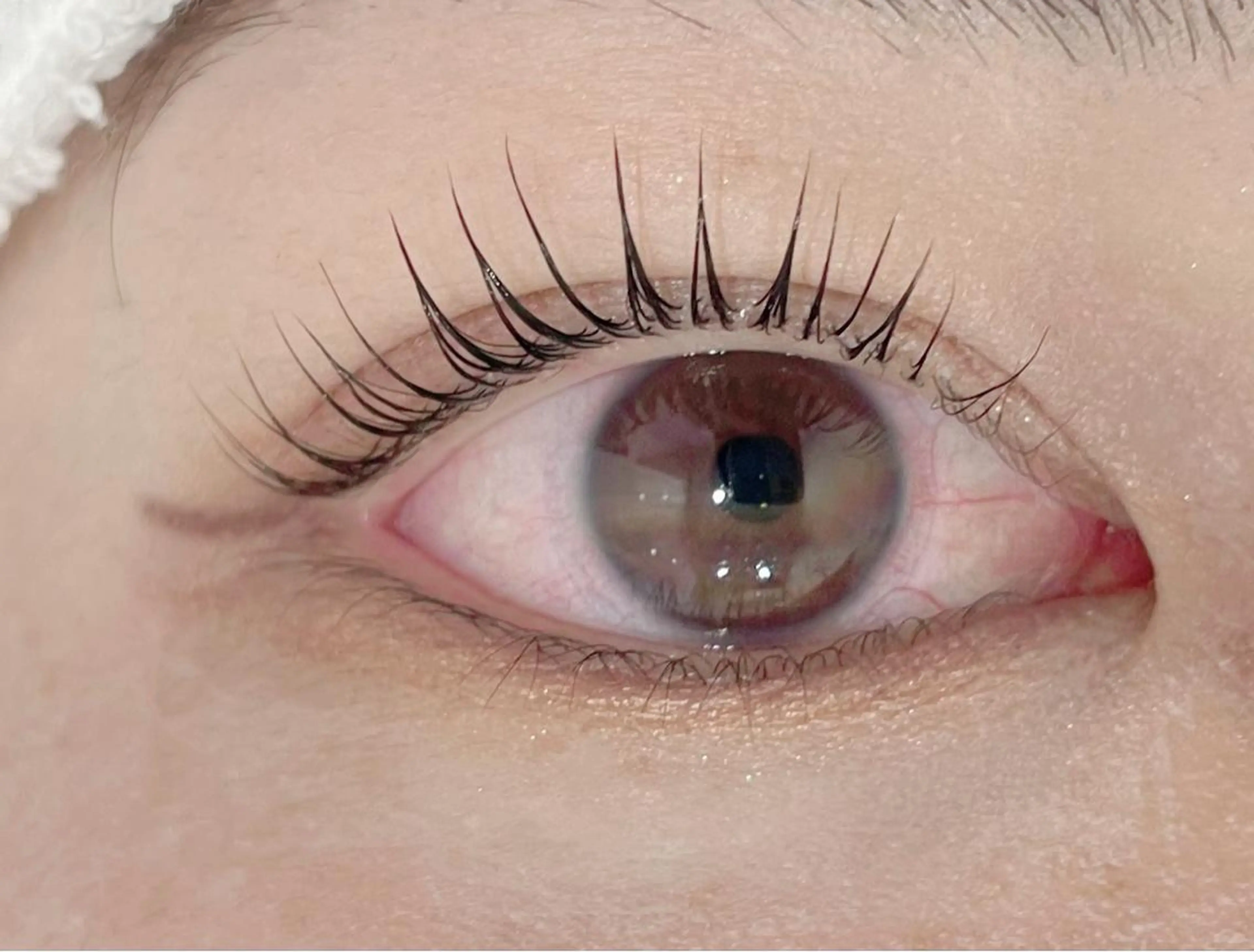 マツエク・マツパ マツパ まつげパーマ専門店 くるり🎀赤澤🎀の眉毛・アイブロウイメージ