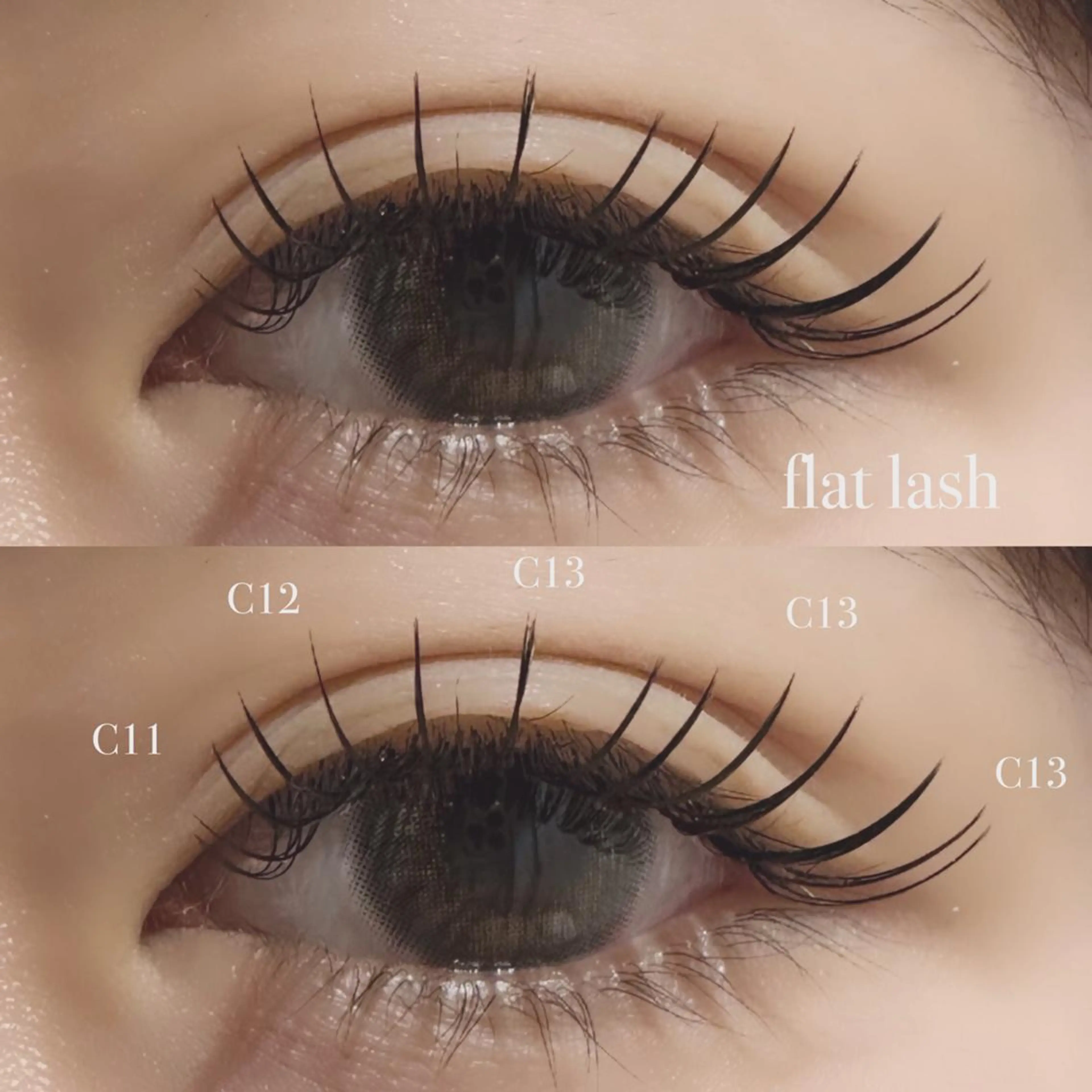 👑人気No,1menu👑💓【フラットラッシュ】120本(オフ込み)!の写真