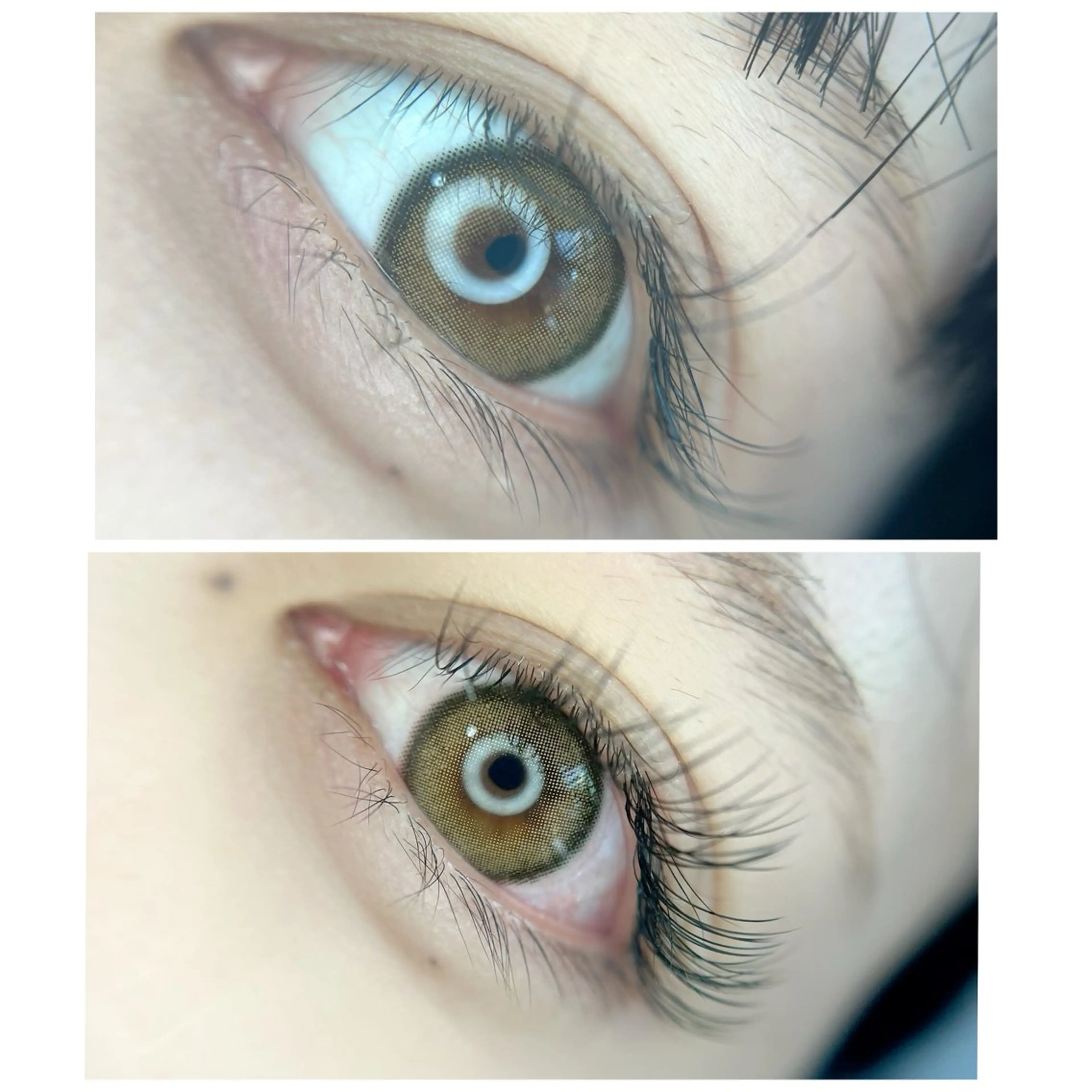 マツエクフラットラッシュ 撮影モデル✨仕上げにLEDコーティングで水にも強く！詳細情報【必読】の写真