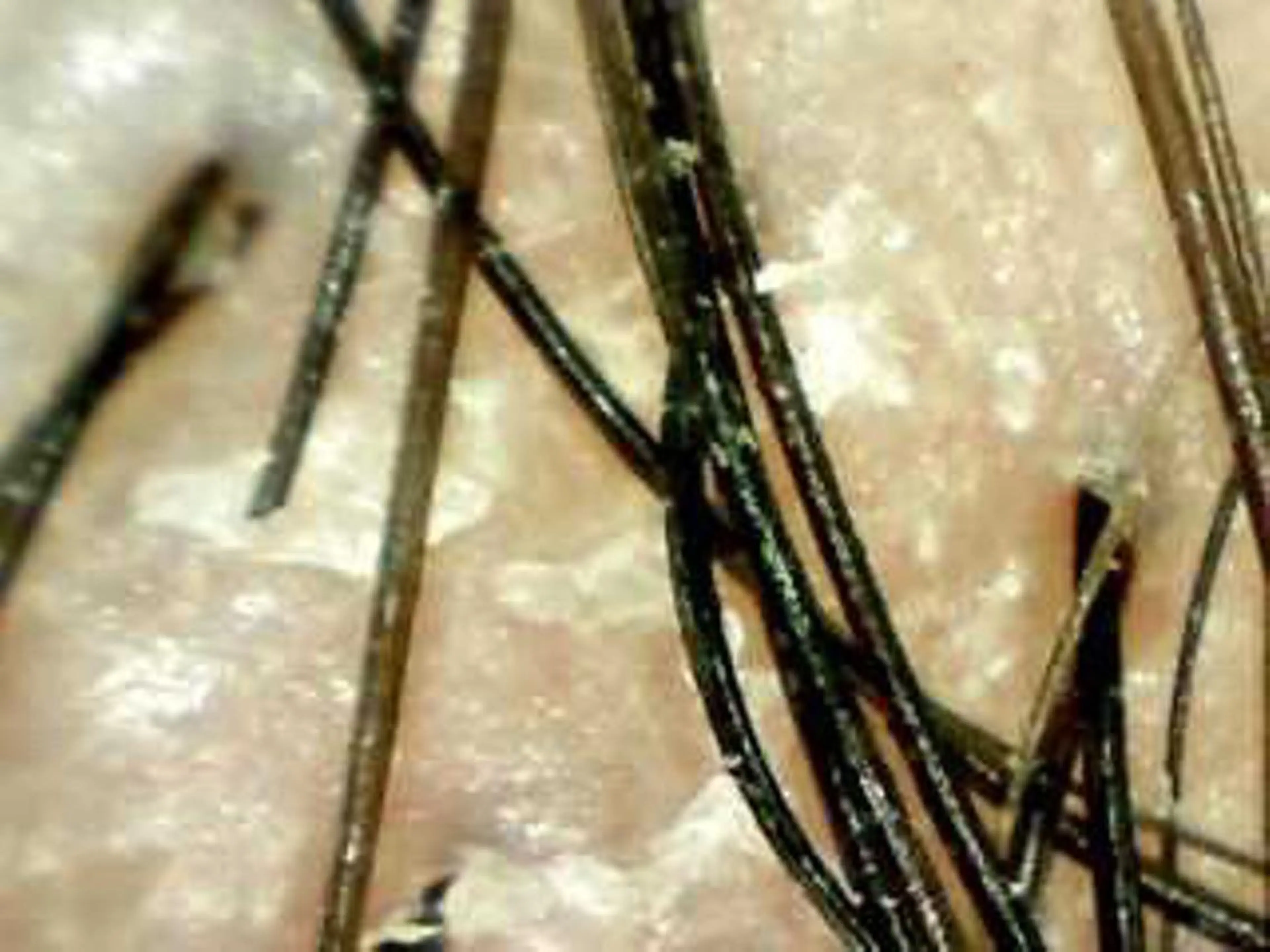 その他 薄毛ケア/痒みケア オガワシンペイのヘアスタイル