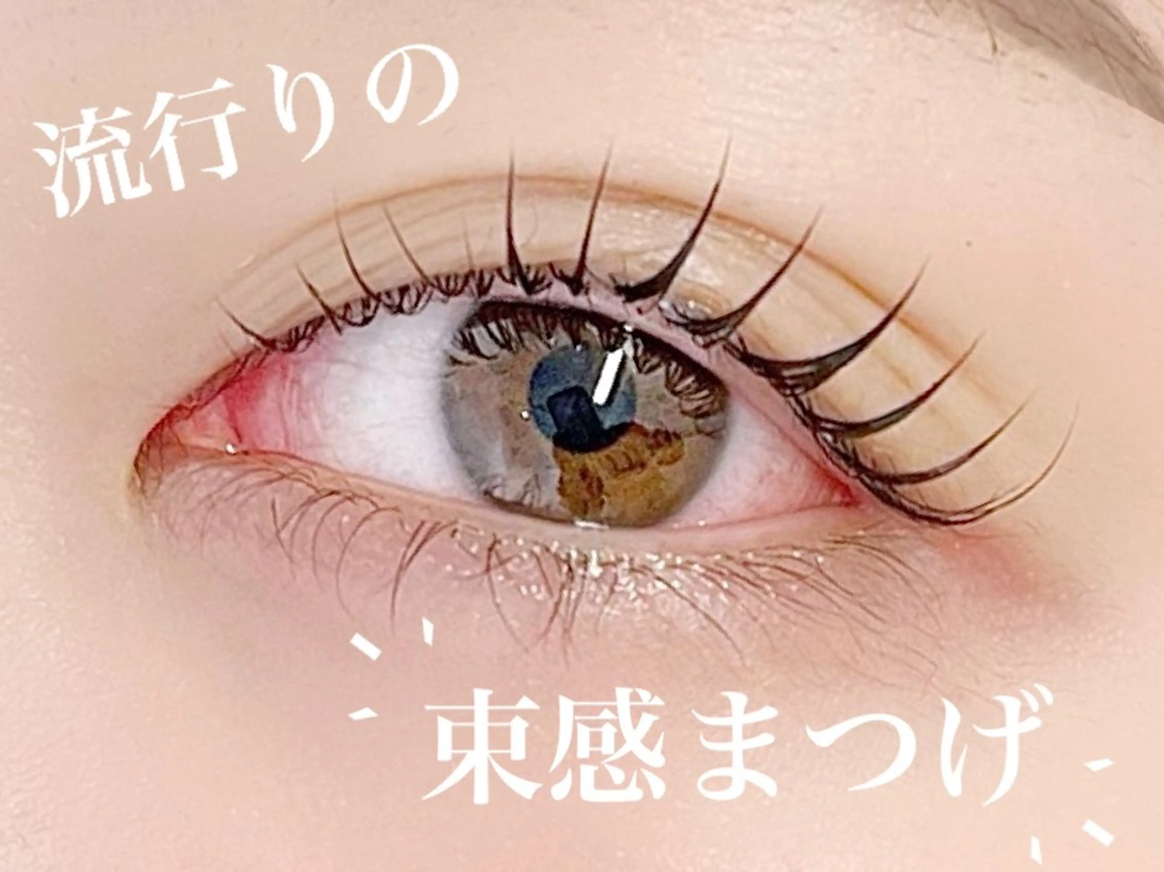【系列店含めご新規様.当日限定】まつげパーマ🎄.*の写真