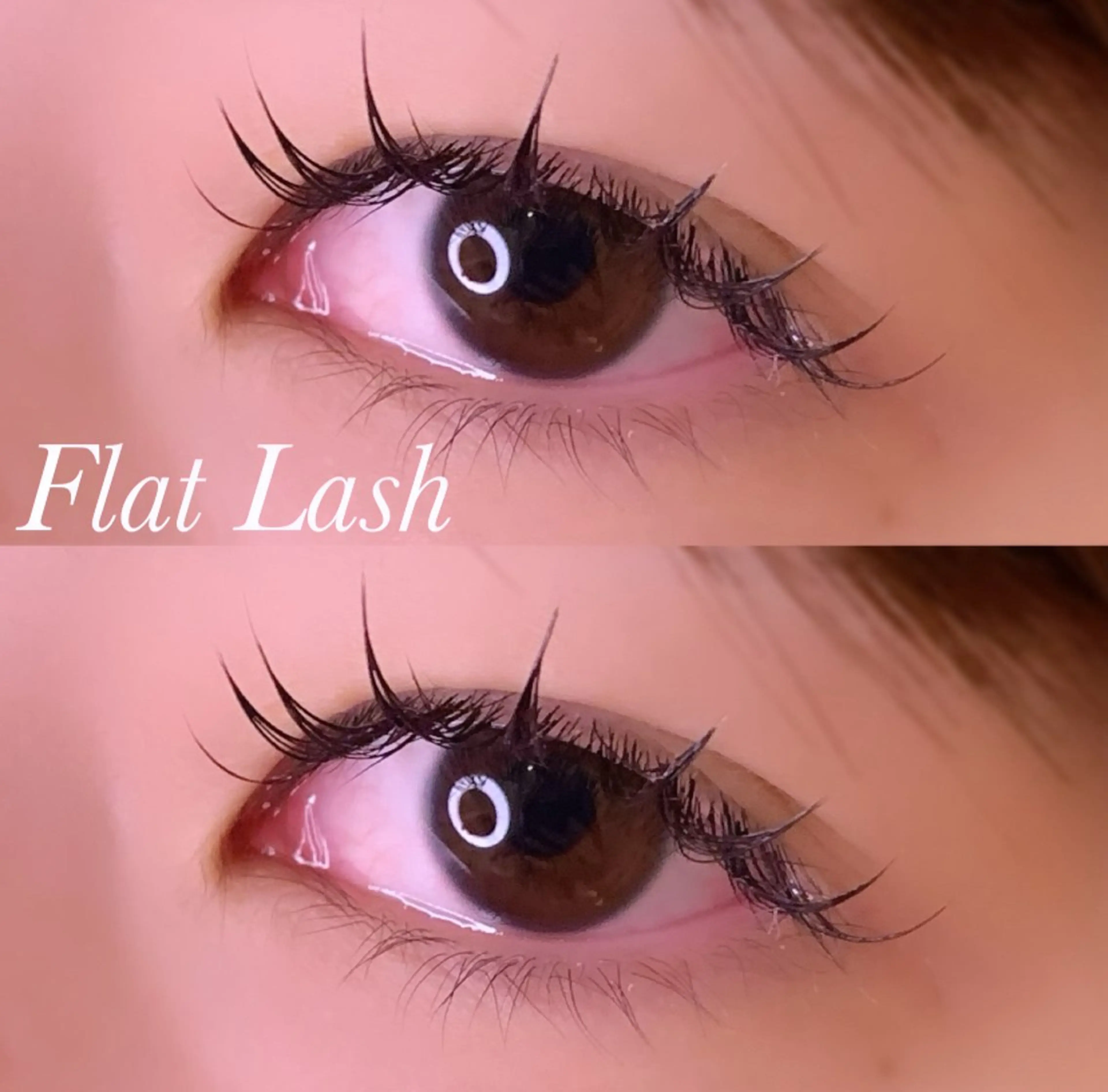 マツエク・マツパ Cカール フラットラッシュ マツエク Ayumi.pro 🍆N《4階》のマツエク・マツパデザイン