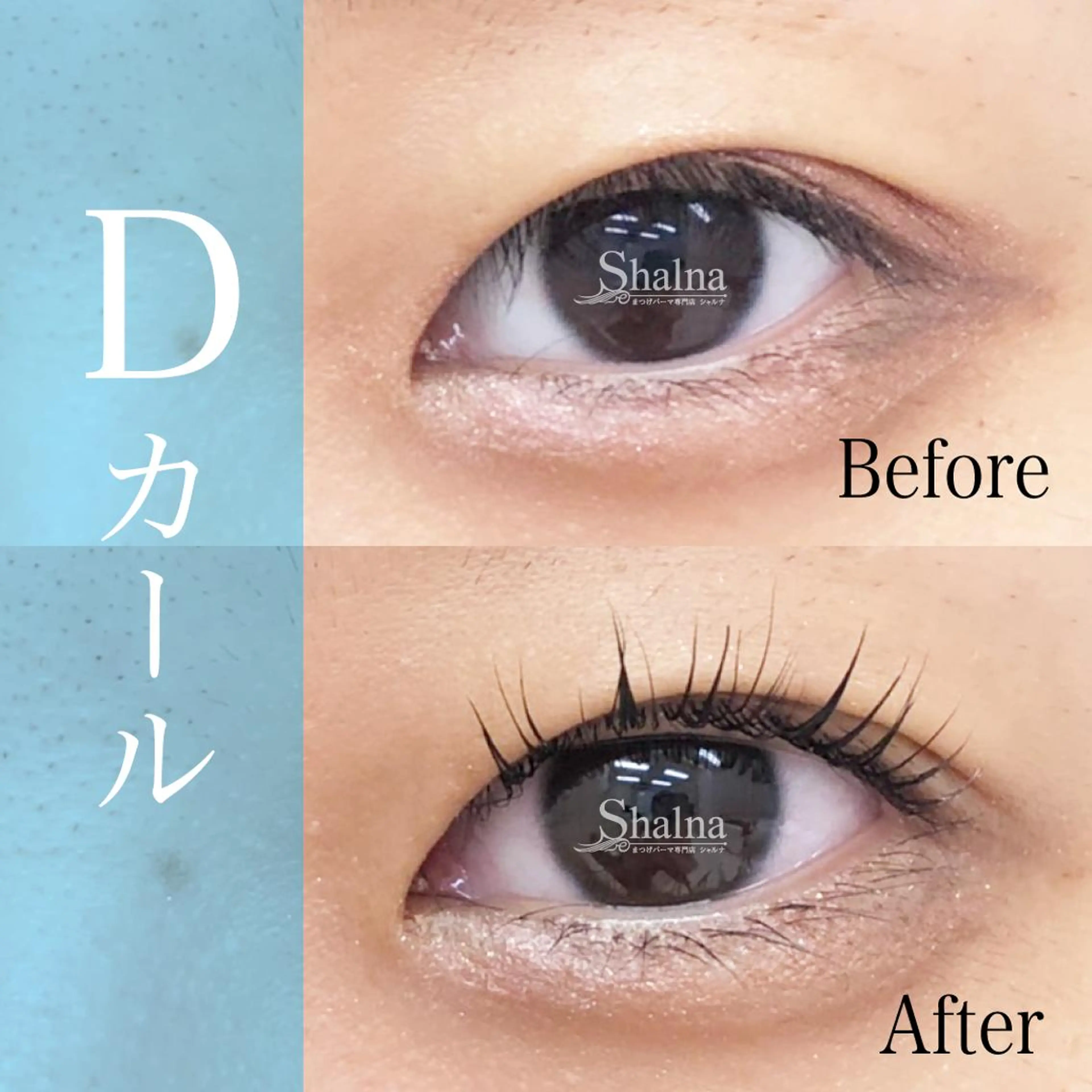 マツエク・マツパ Dカール まつげパーマ まつげパーマ専門店 シャルナ　柏店のマツエク・マツパデザイン