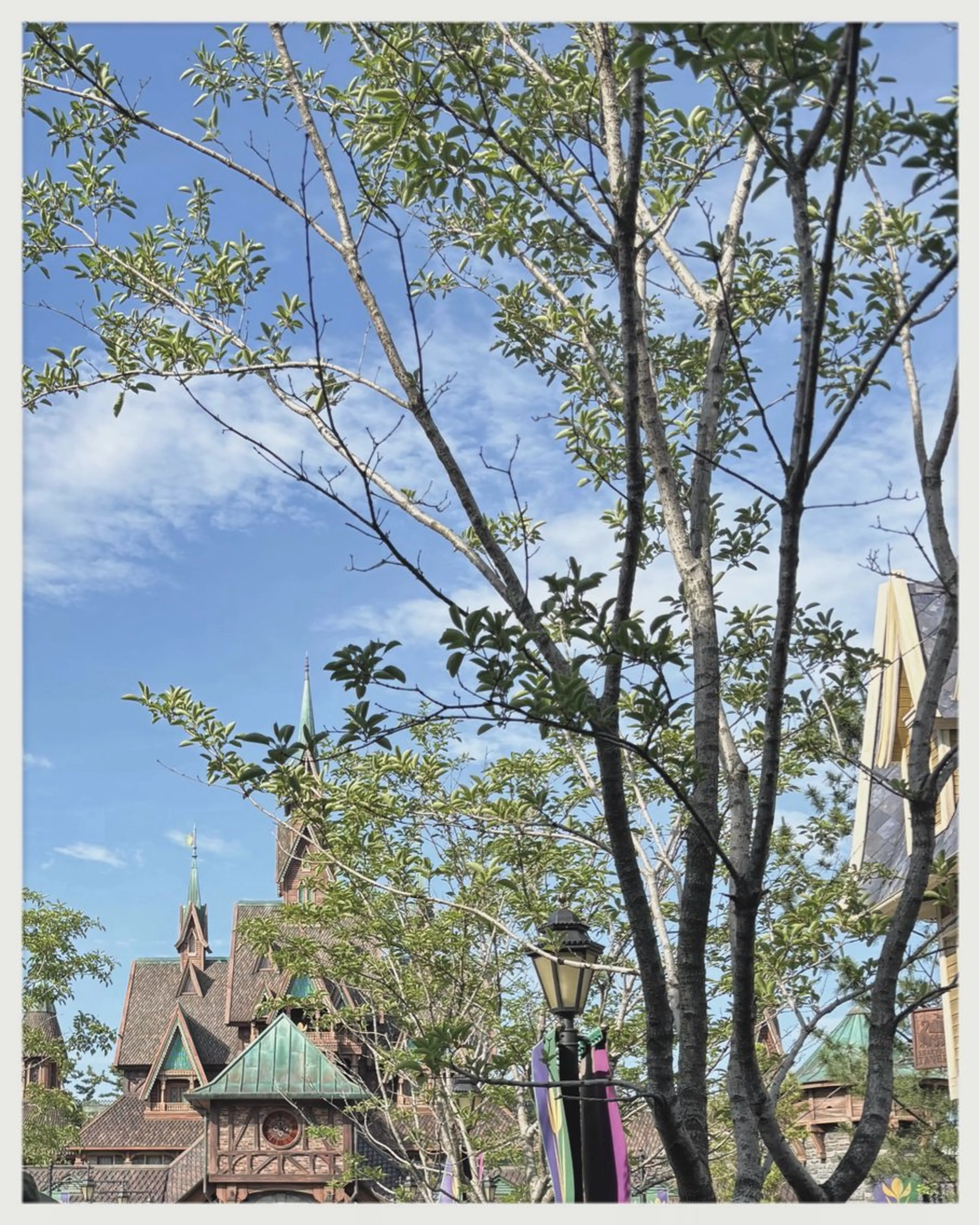 ネイル nailsalon room.のネイルデザイン