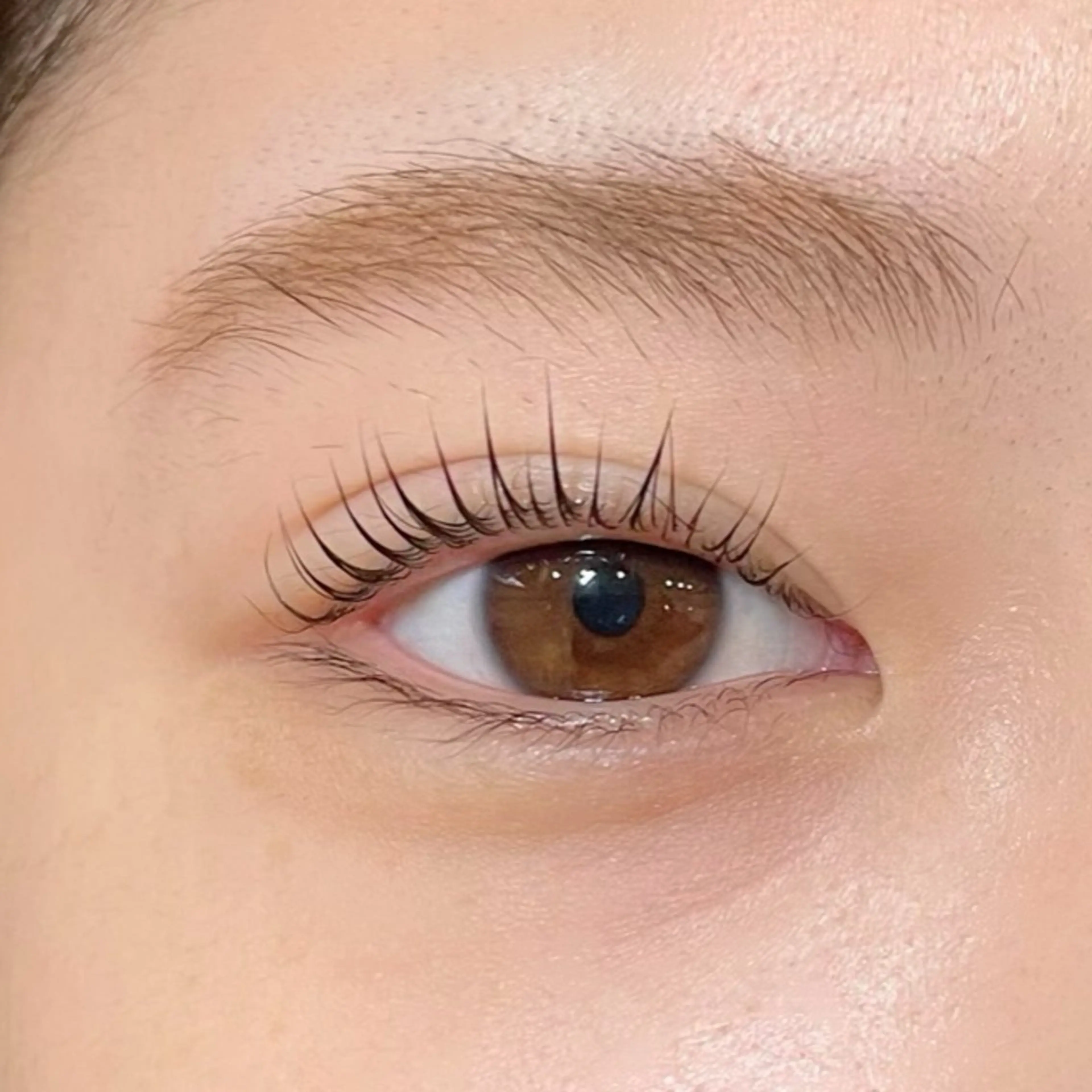 マツエク・マツパ Sakurablow 難波店　小嶋のマツエク・マツパデザイン