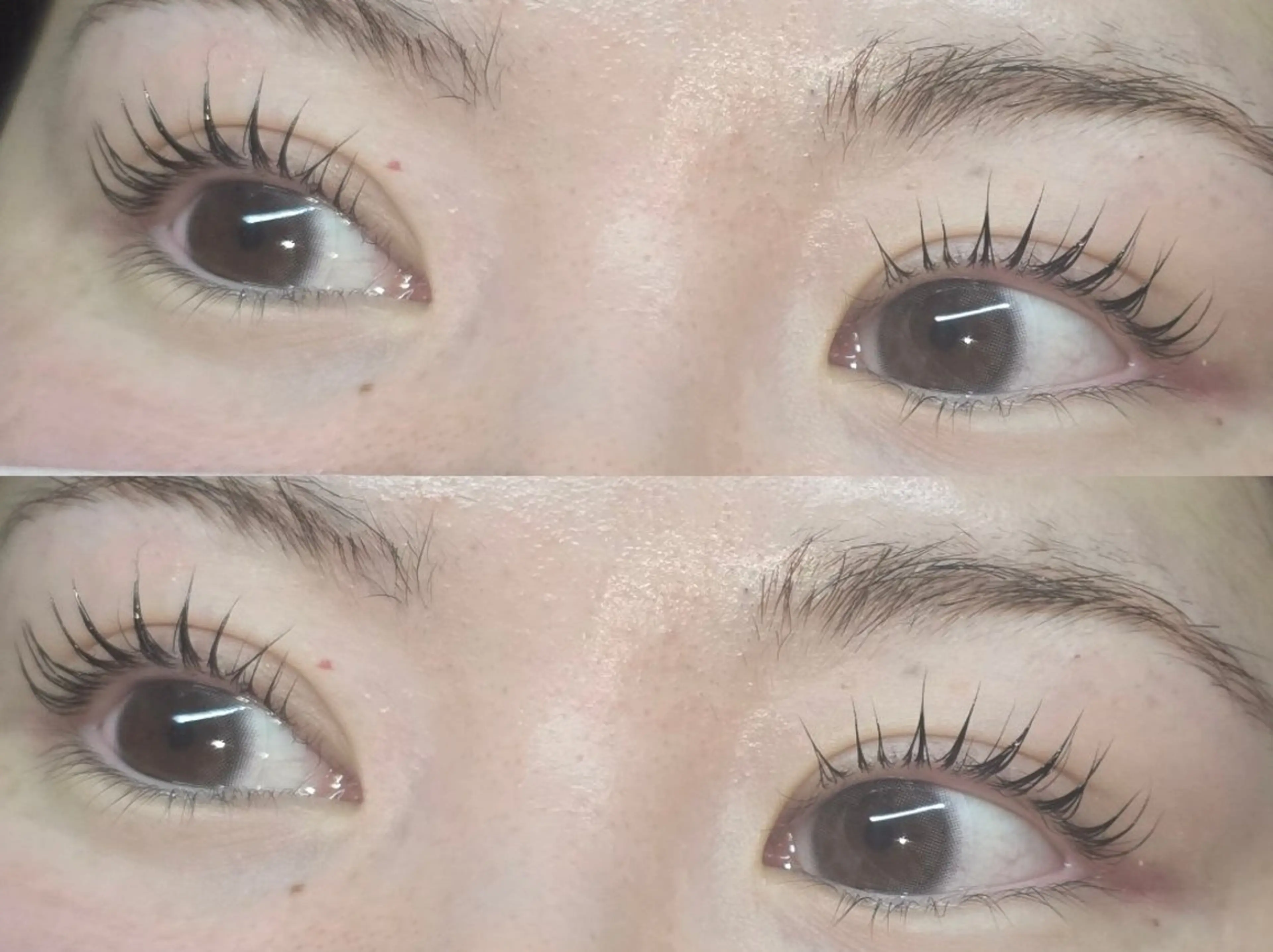 ☃❄【瞳力UP★OPEN記念価格】パリジェンヌ☃❄の写真