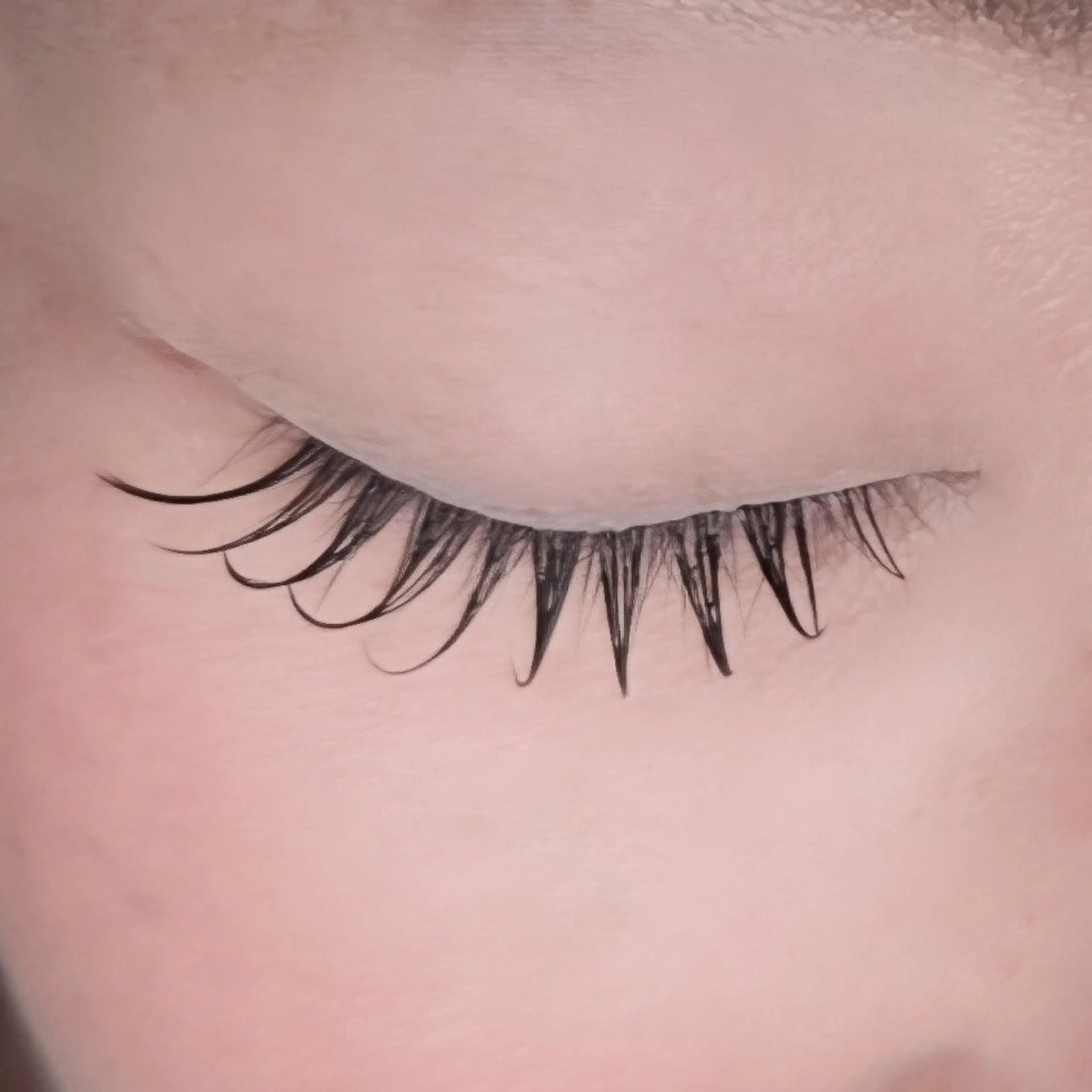 (オフ無料)フラットラッシュ120本+コーティング付の写真