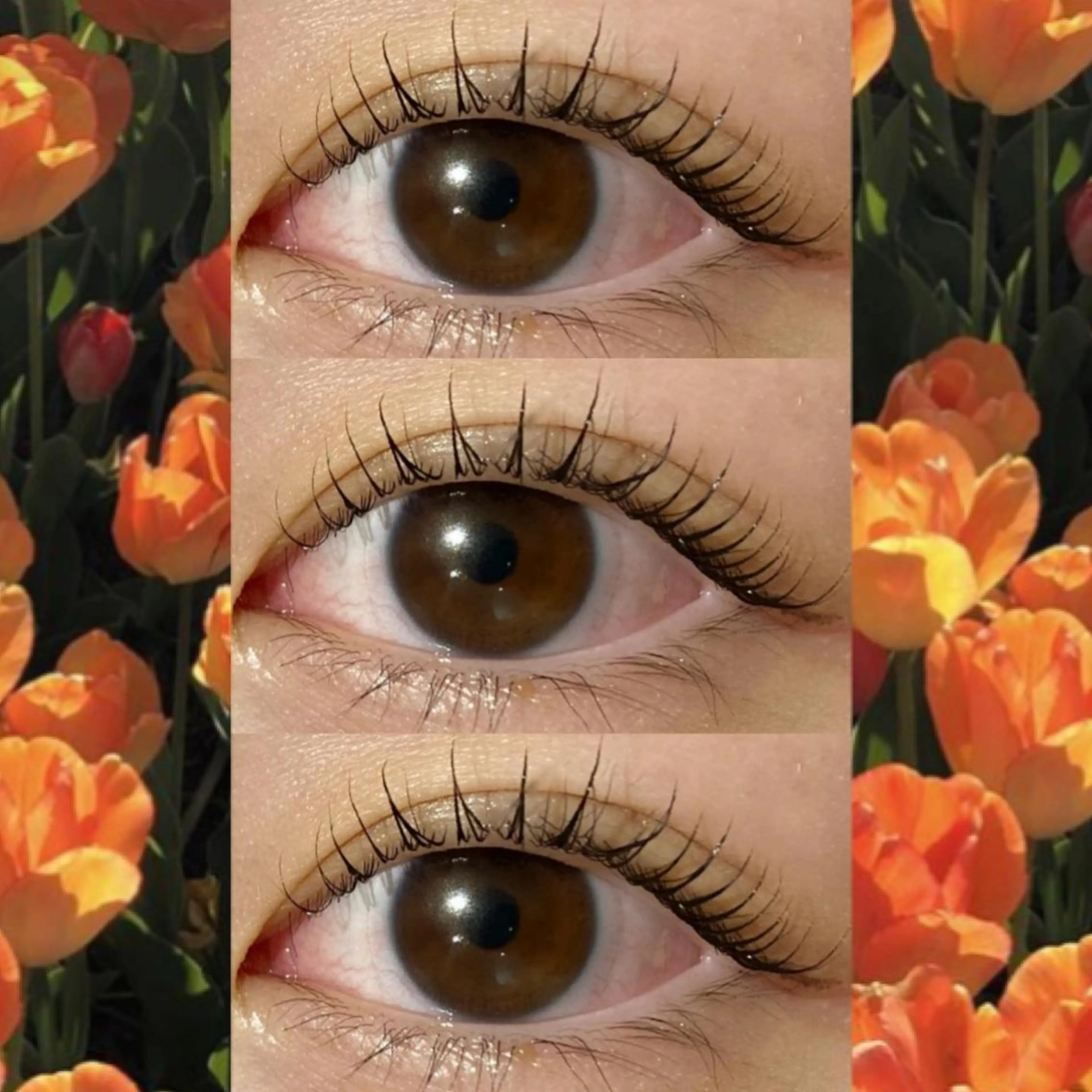 マツエク・マツパ ブラウンラッシュ カラーマツエク フラットラッシュ 韓国風マツエク まつげパーマ マツパ orihara𐙚 まつげパーマ/眉毛のマツエク・マツパデザイン