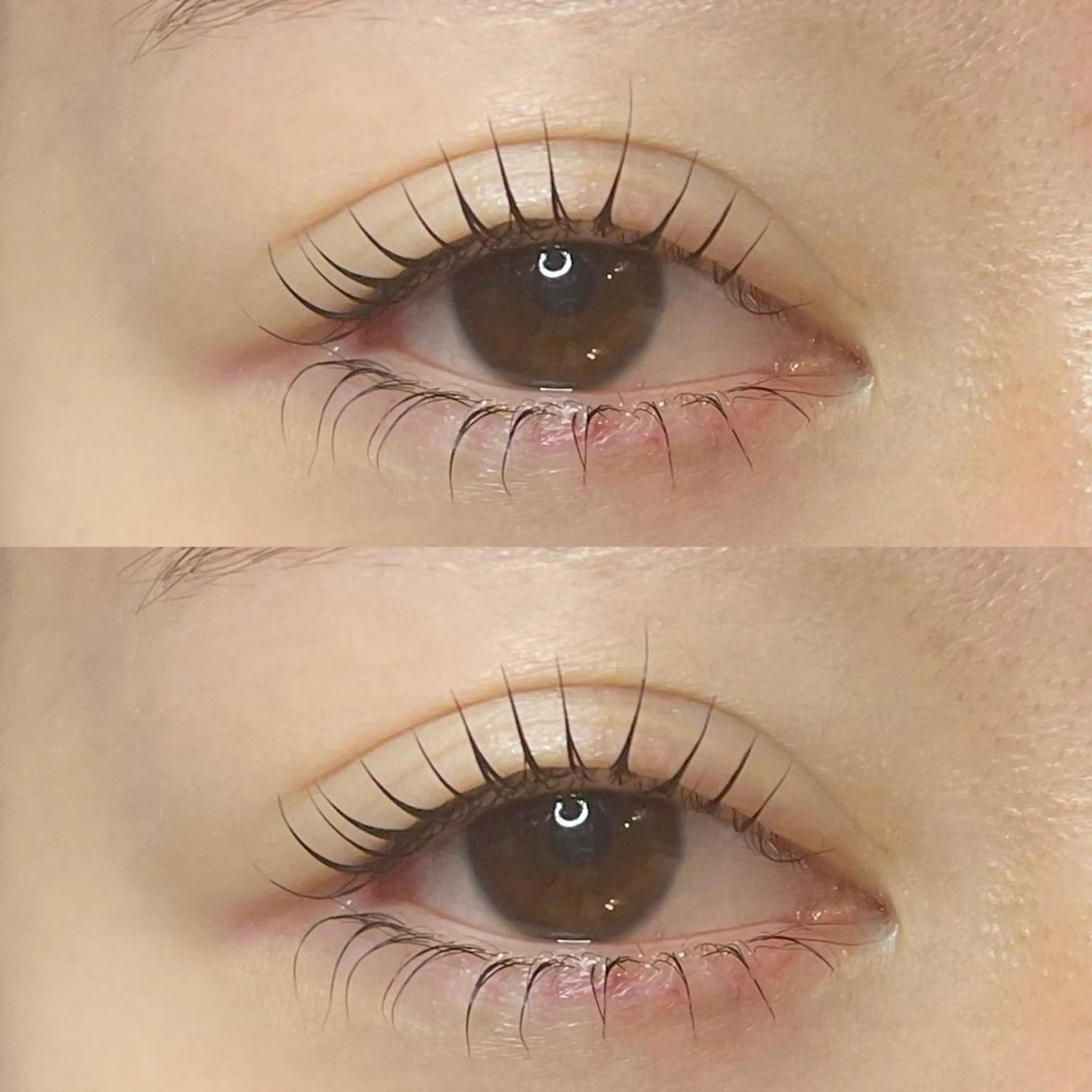 （新規）🍑パリジェンヌラッシュリフト（上下）¥10000→10%off💡の写真