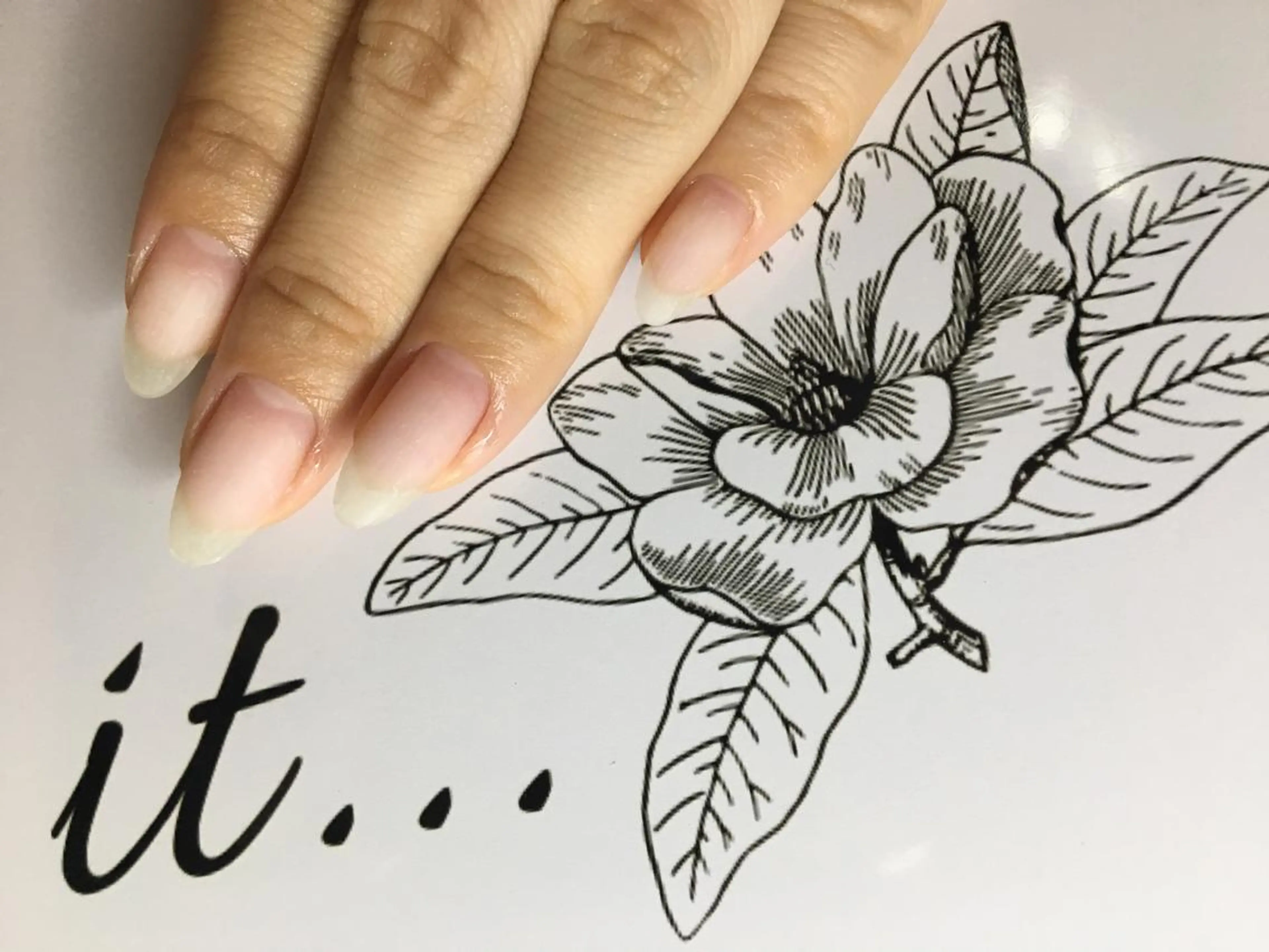 ネイル ジェルネイル パラジェル nails' it...のネイルデザイン