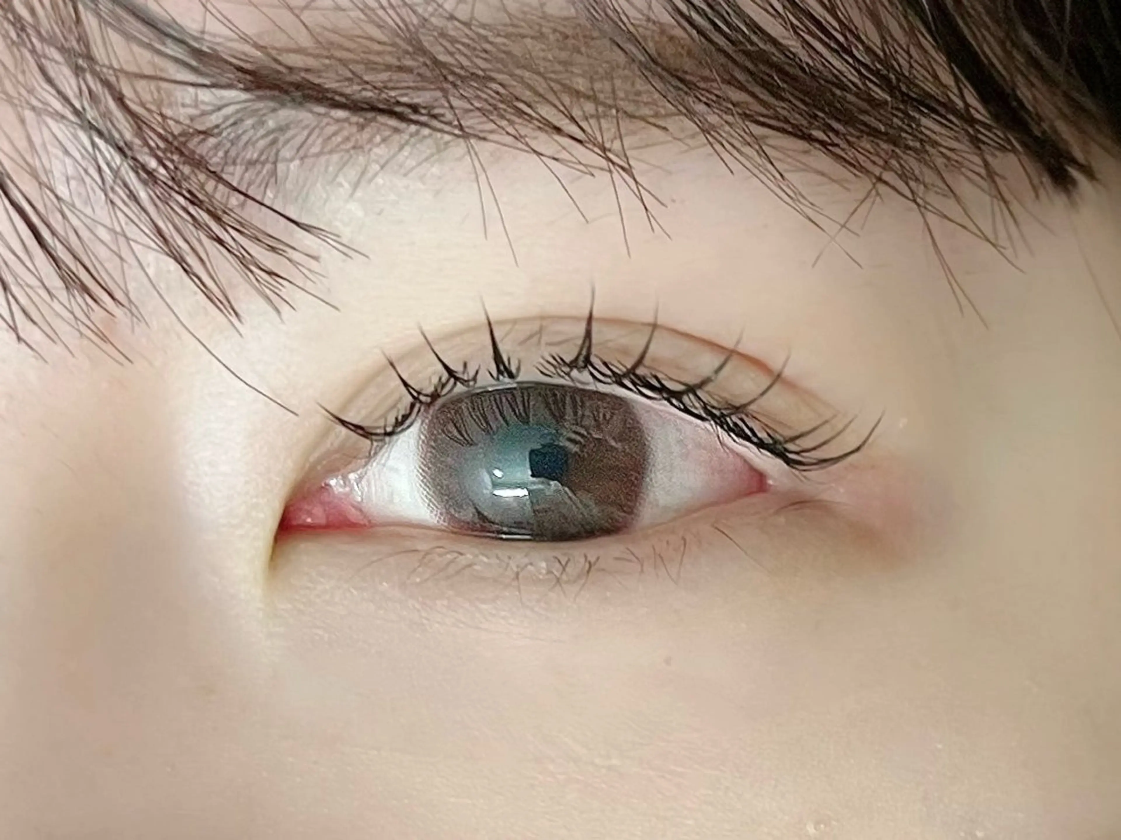 フラットラッシュ120本の写真