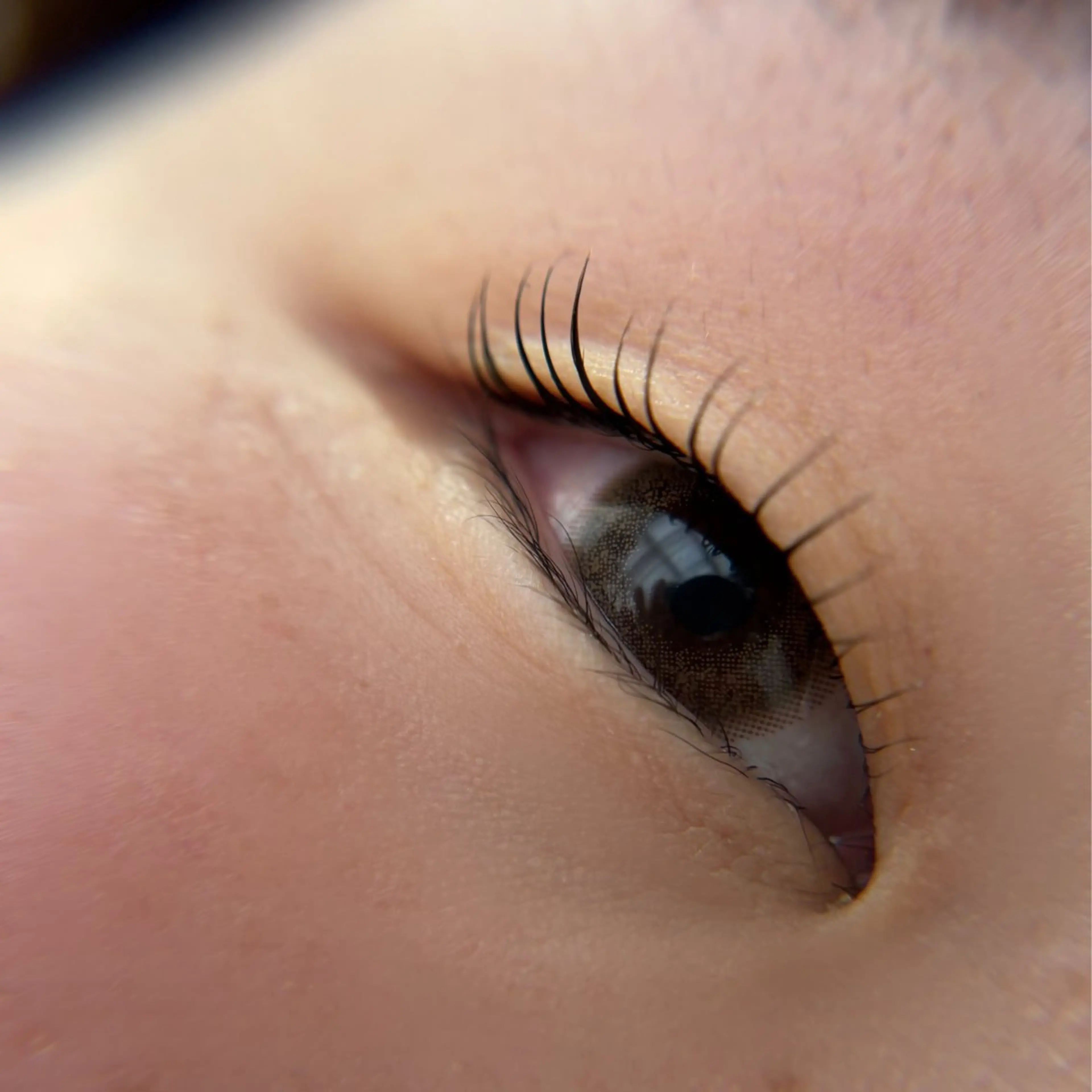 マツエク・マツパ 一重×まつ毛パーマ マツパ ORTENSIA 六本松のマツエク・マツパデザイン