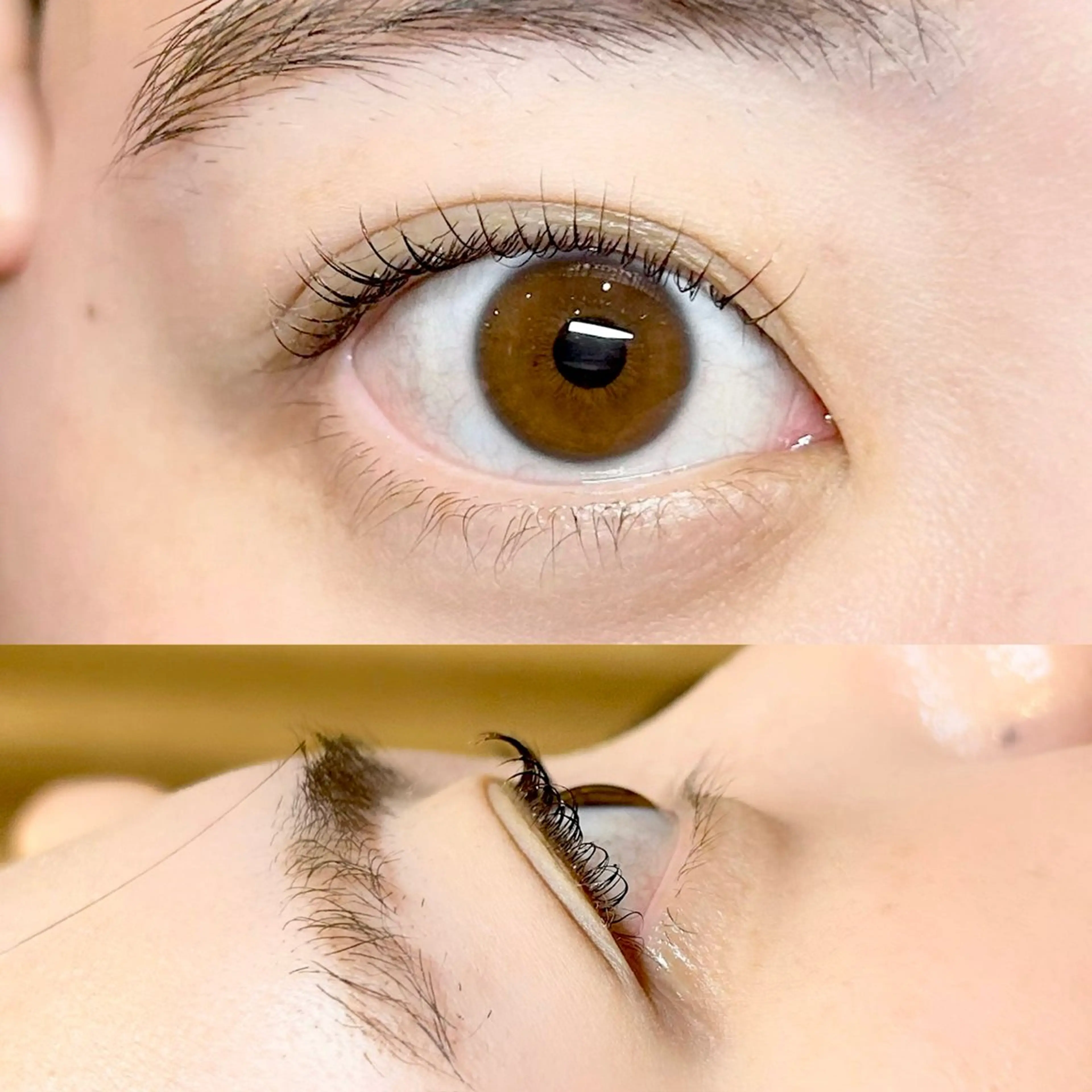 マツエク・マツパ Cカール まほ  平野/ 長吉六反/喜連瓜破のマツエク・マツパデザイン