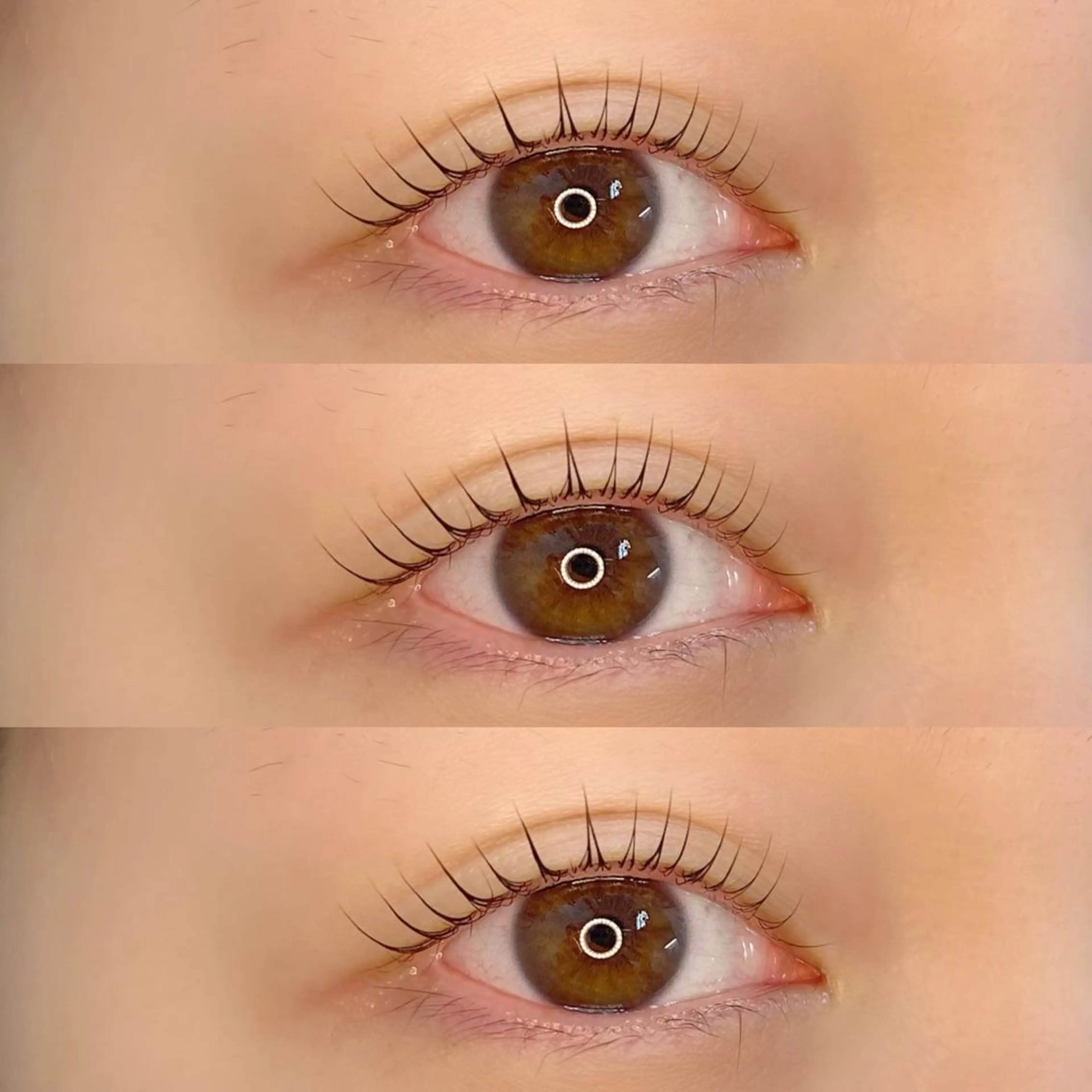 マツエク・マツパ パリジェンヌラッシュリフト LAND【ランド】 小鹿のマツエク・マツパデザイン