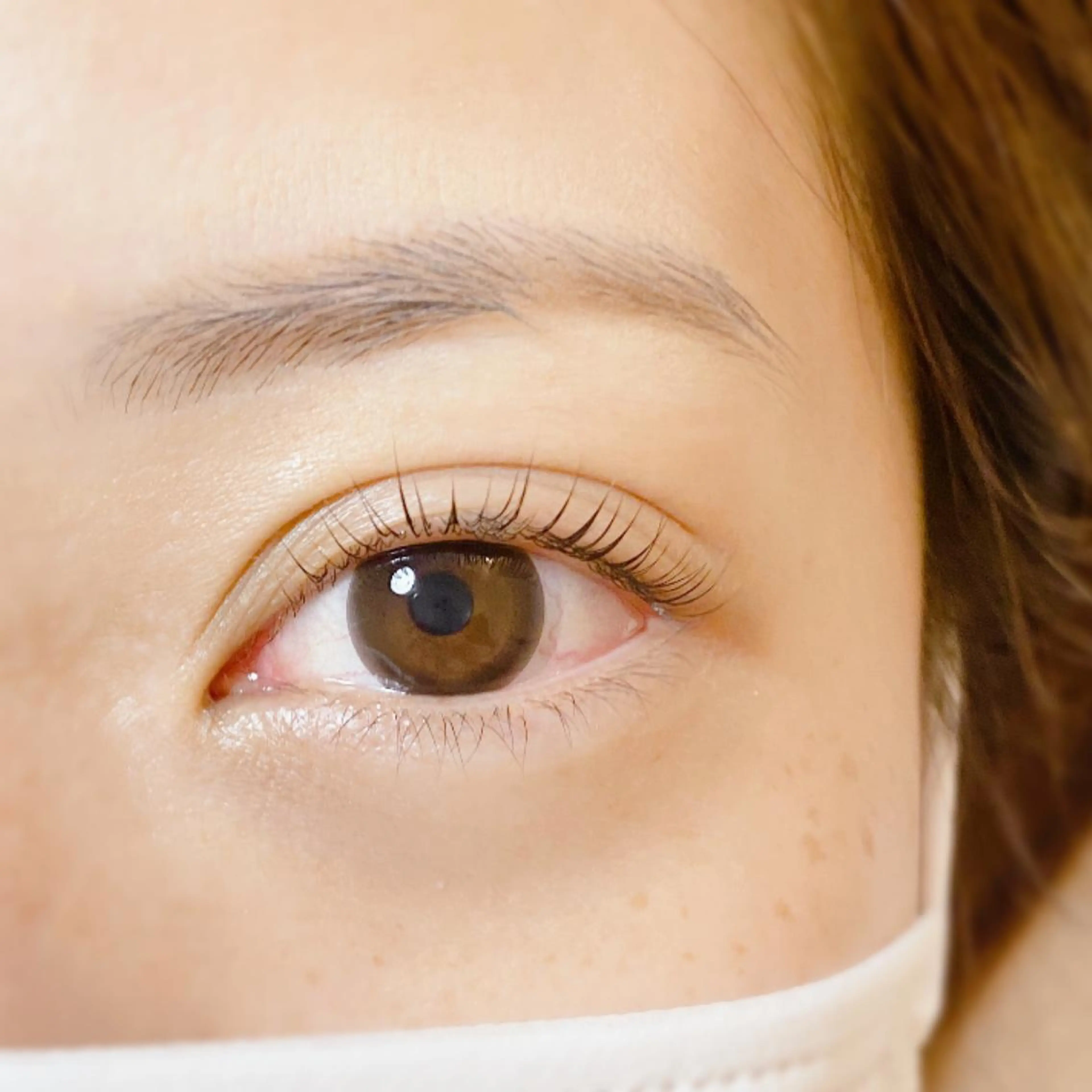 ✨ラッシュリフト×美眉アイブロウスタイリング(眉ワックス1回)✨※カルテ記入の為、10分前にお越しください。の写真