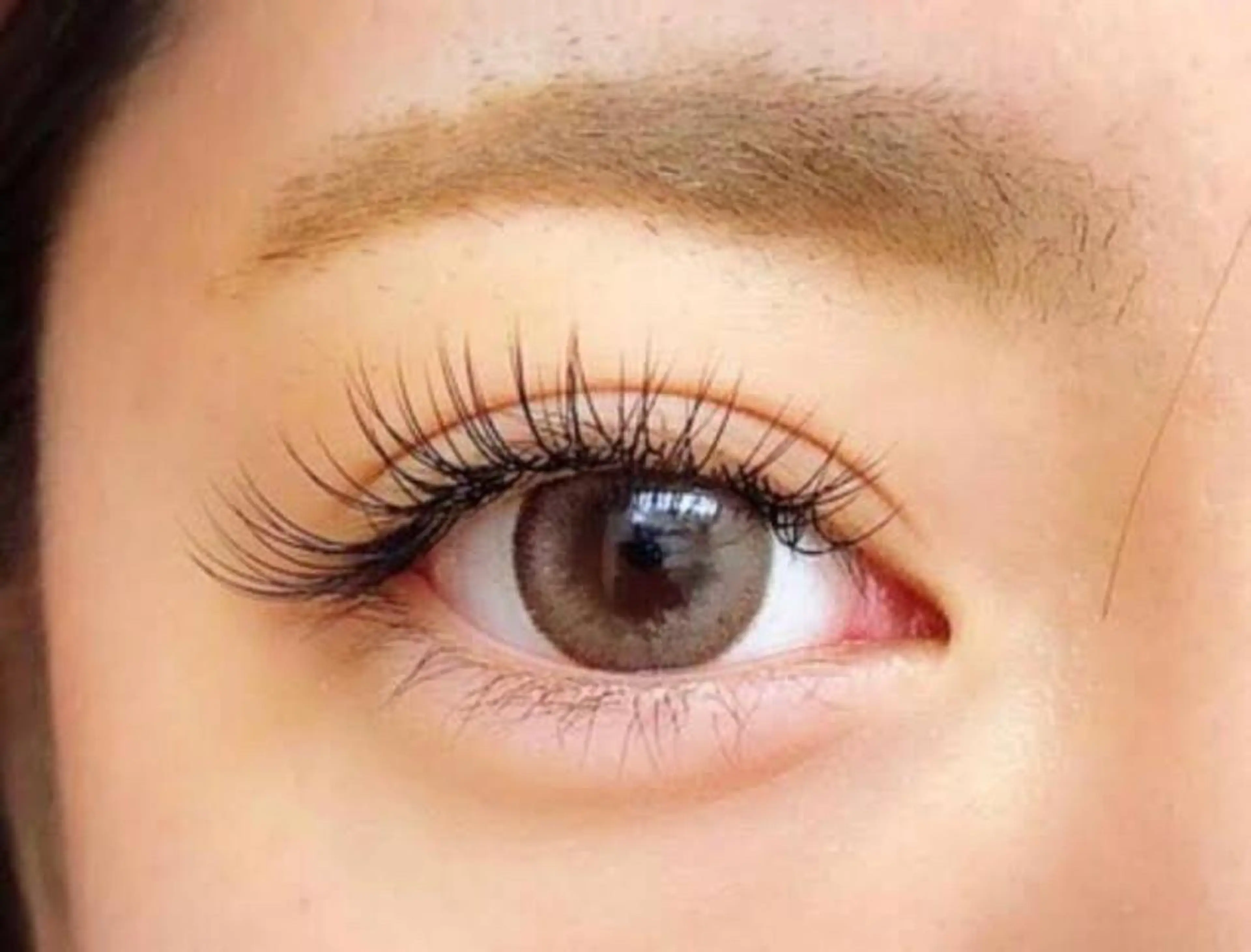 セーブルシングルラッシュ付け放題(アイシャンプー 込み)の写真