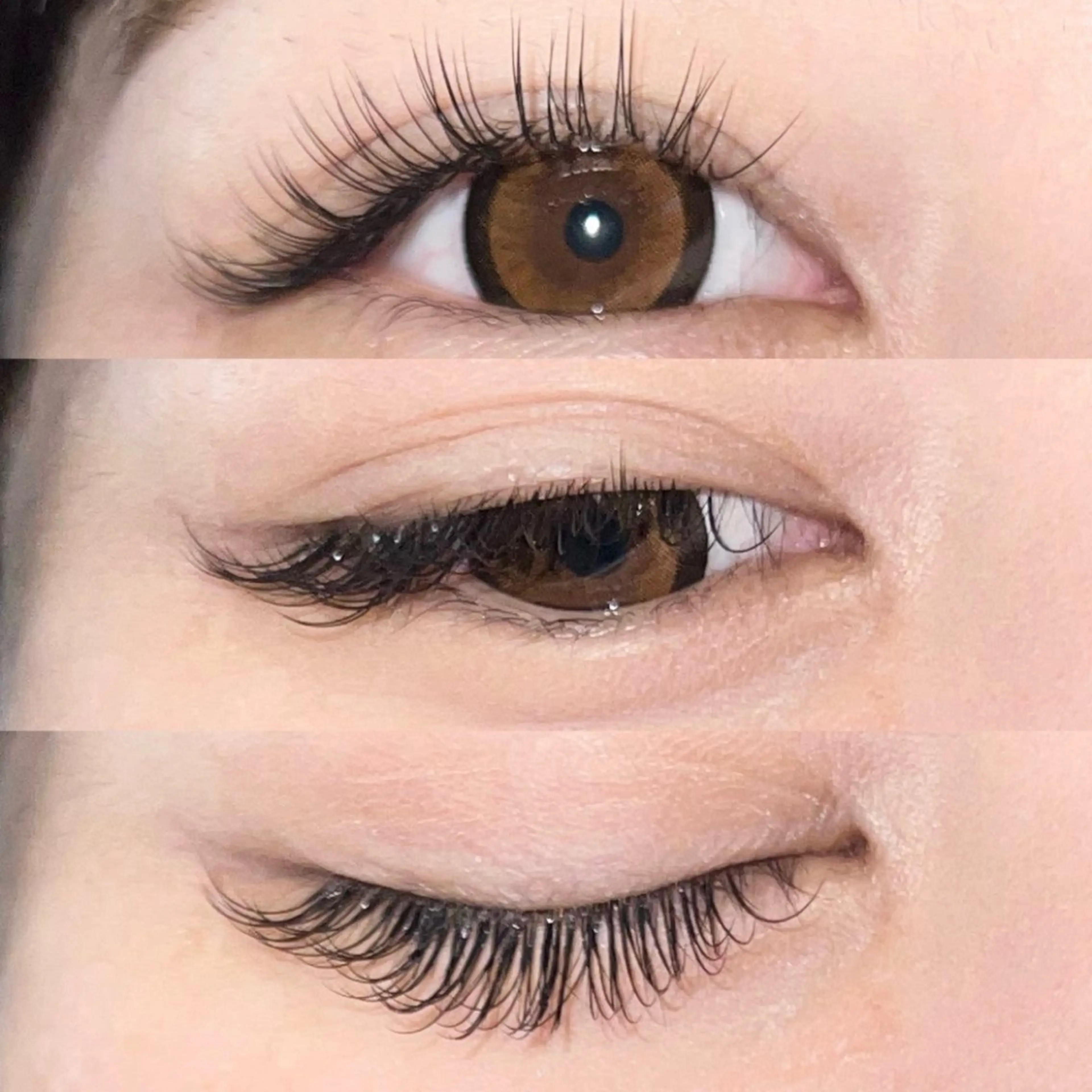 マツエク・マツパ マツエク toiro 鎌取のマツエク・マツパデザイン