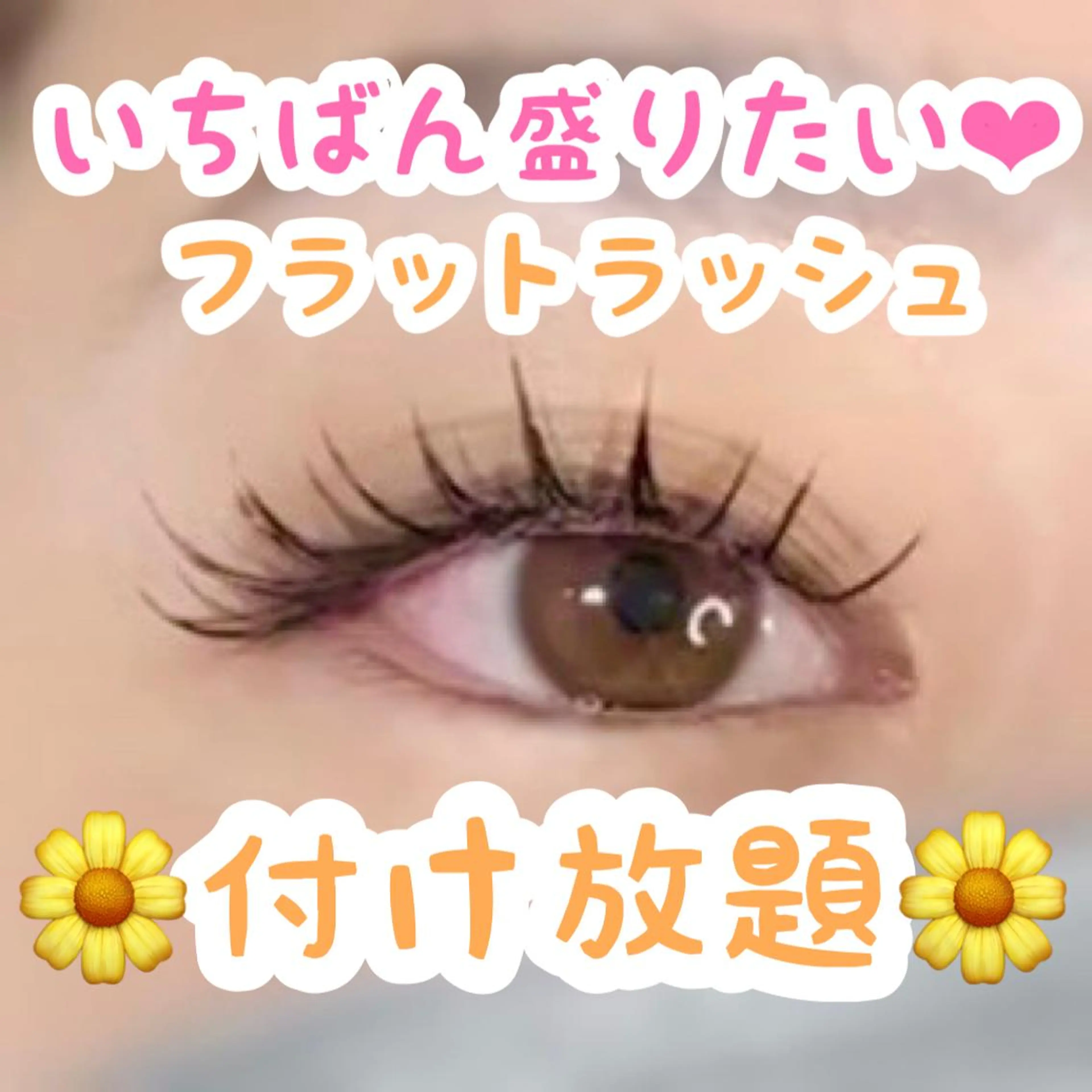 マツエク・マツパ 付け放題 フラットラッシュ N eyelash SARA🌷のマツエク・マツパデザイン