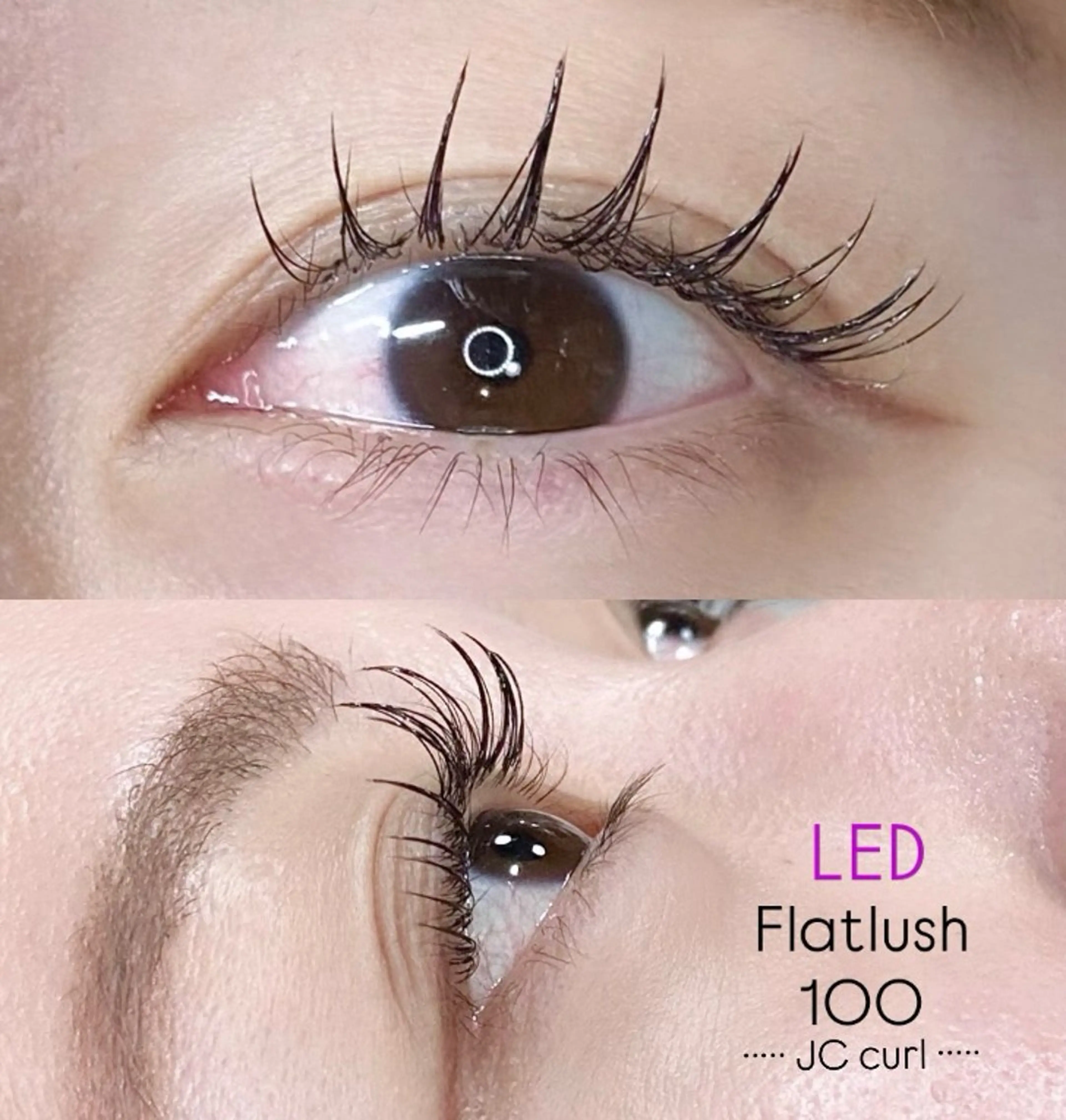 マツエク・マツパ ナチュラル LEDエクステ専門店 Fedis 京橋のマツエク・マツパデザイン