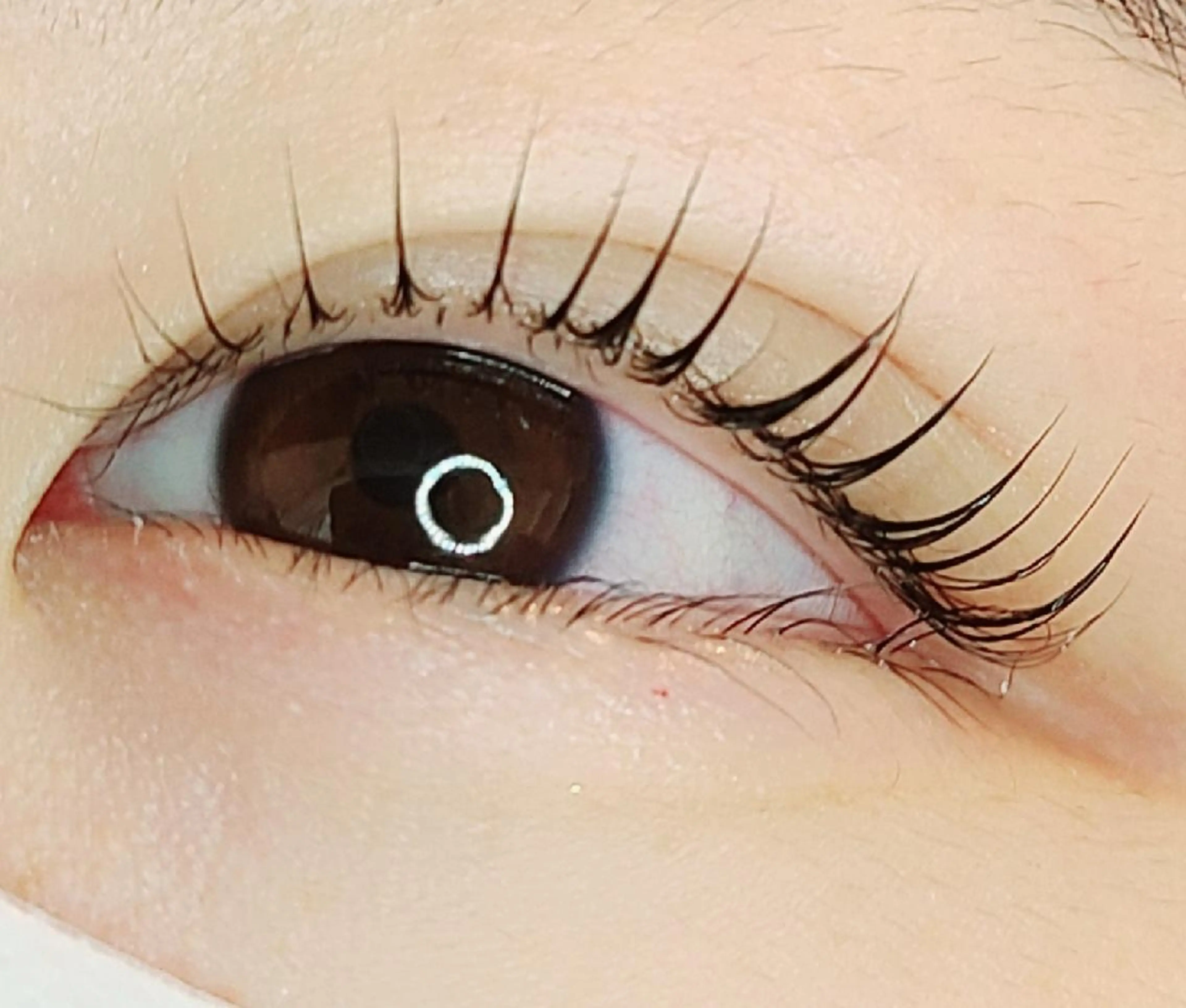 マツエク・マツパ マツパ セレビアイ/ ISHIIのマツエク・マツパデザイン