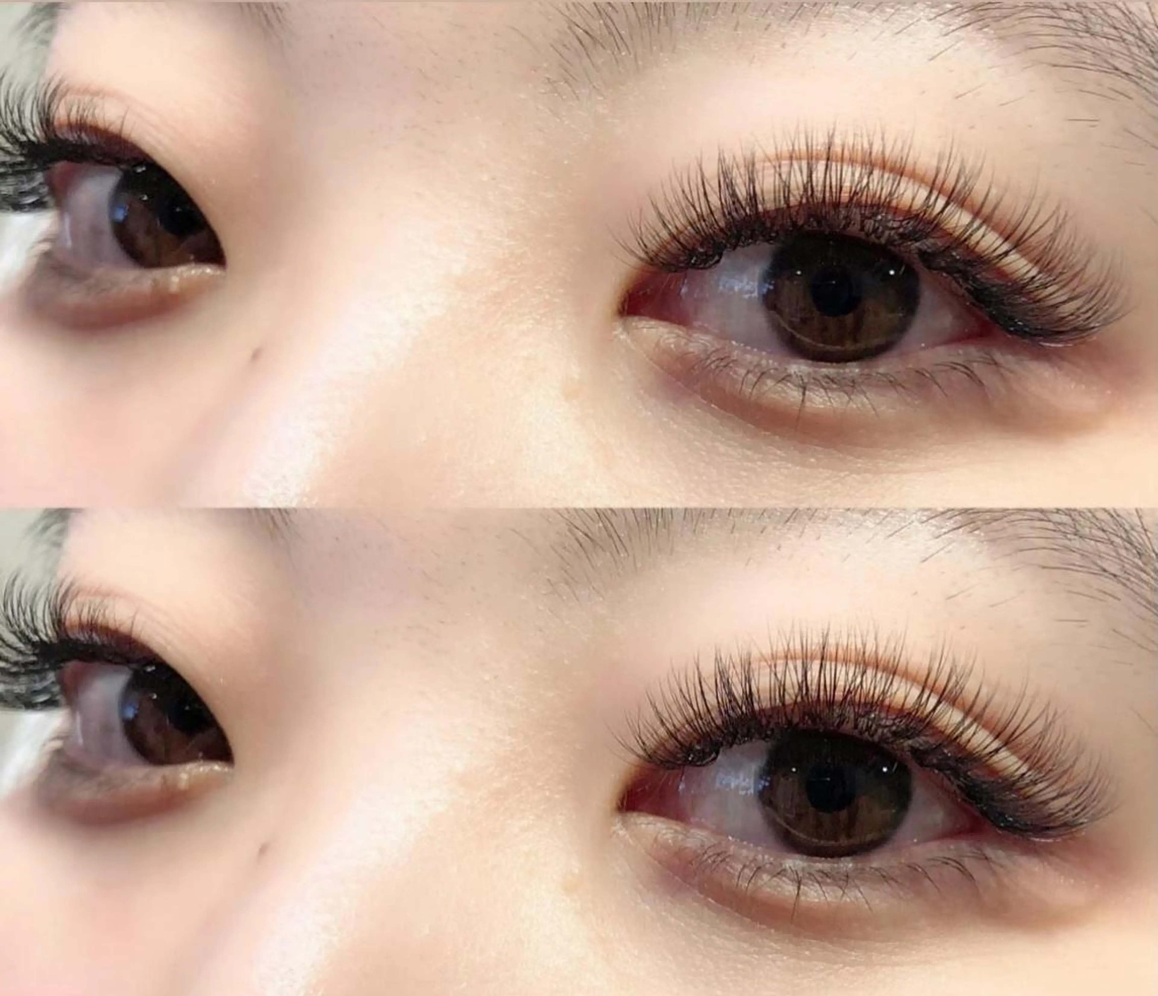 マツエク・マツパ ボリュームラッシュ Bunny eyes NEWOTANI博多のマツエク・マツパデザイン