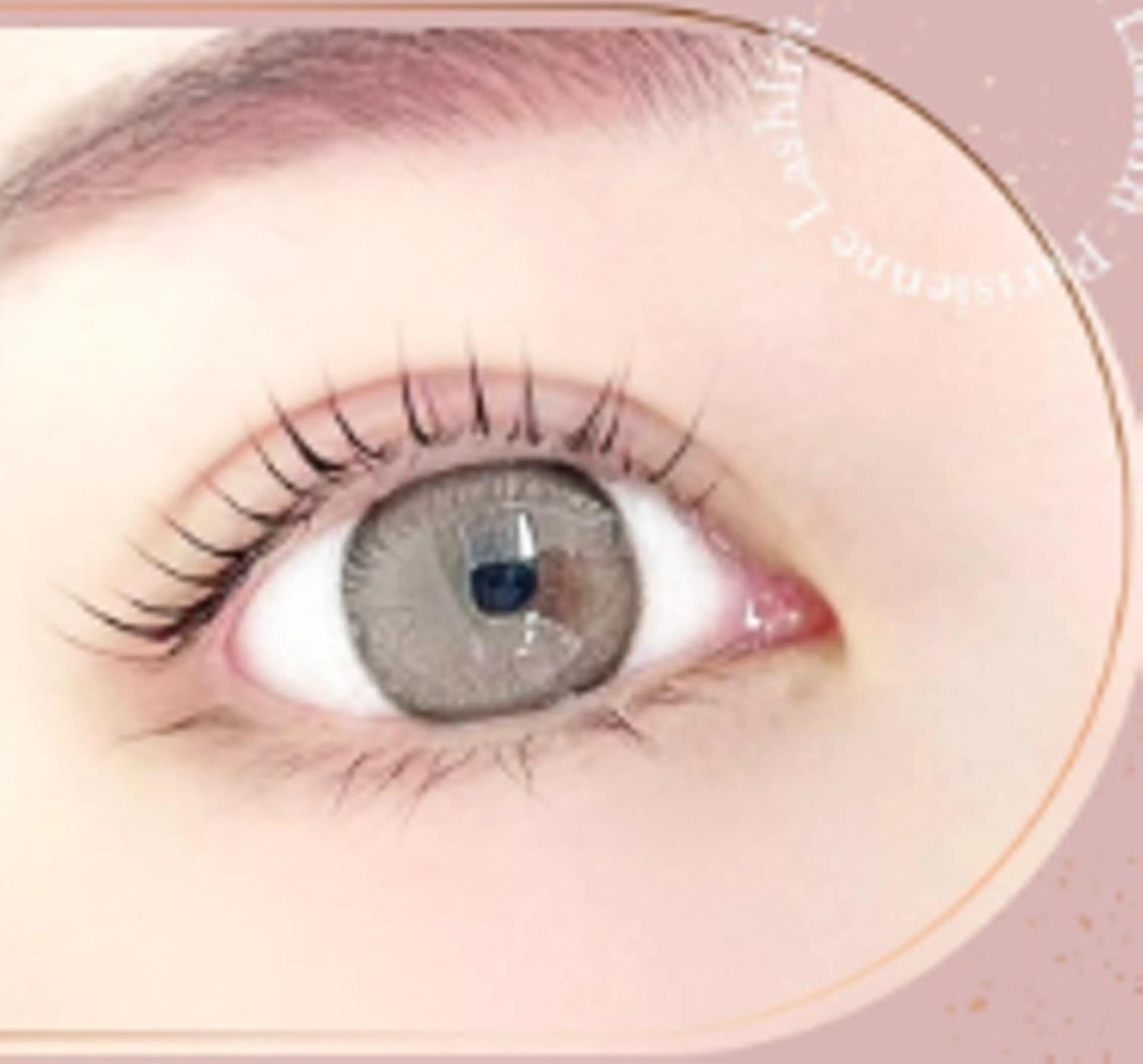 【30名限定❤️無料クーポン】潤いまつ毛パーマ♡の写真