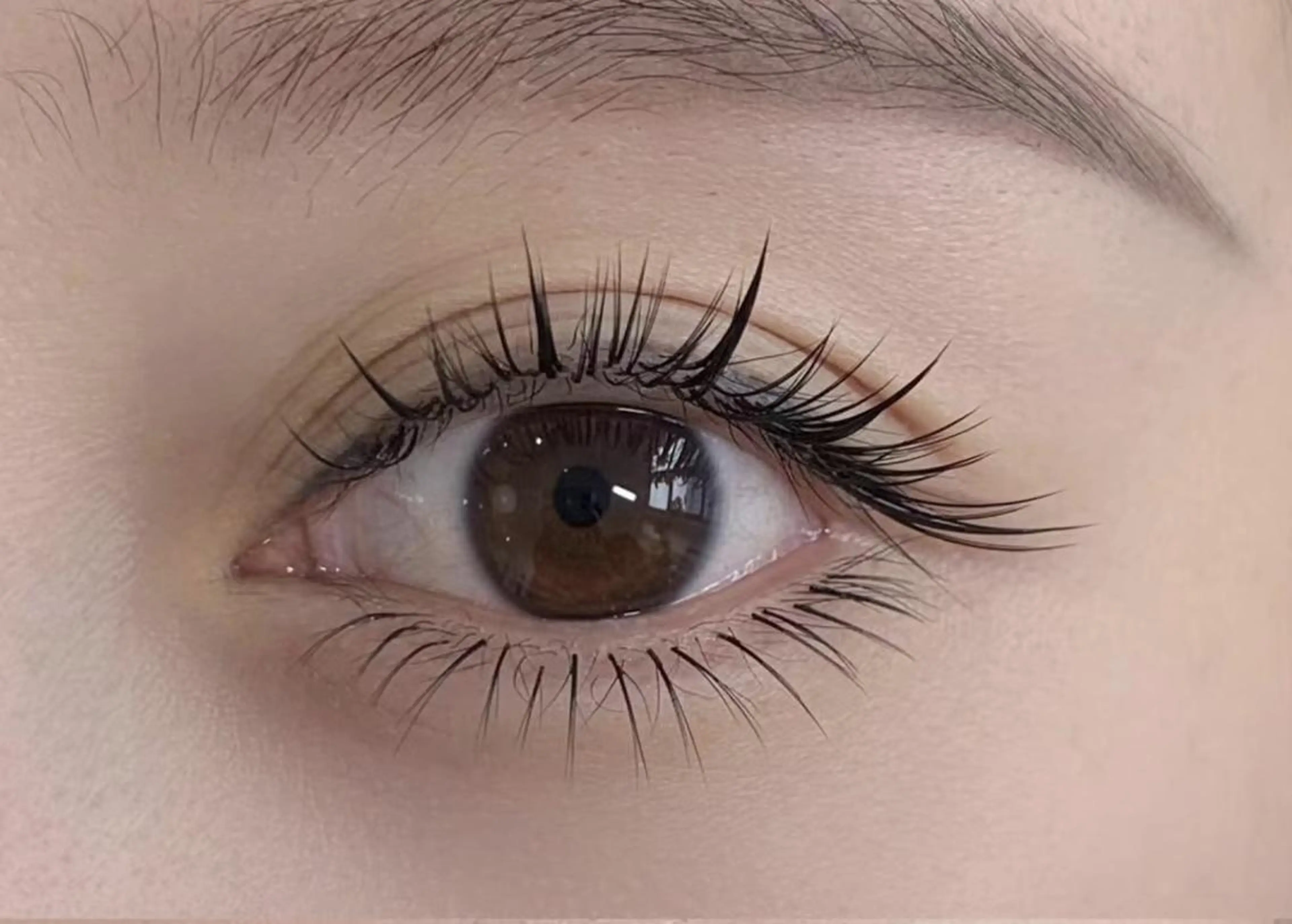 マツエク・マツパ まつげパーマ専門店 FOI　新宿のマツエク・マツパデザイン