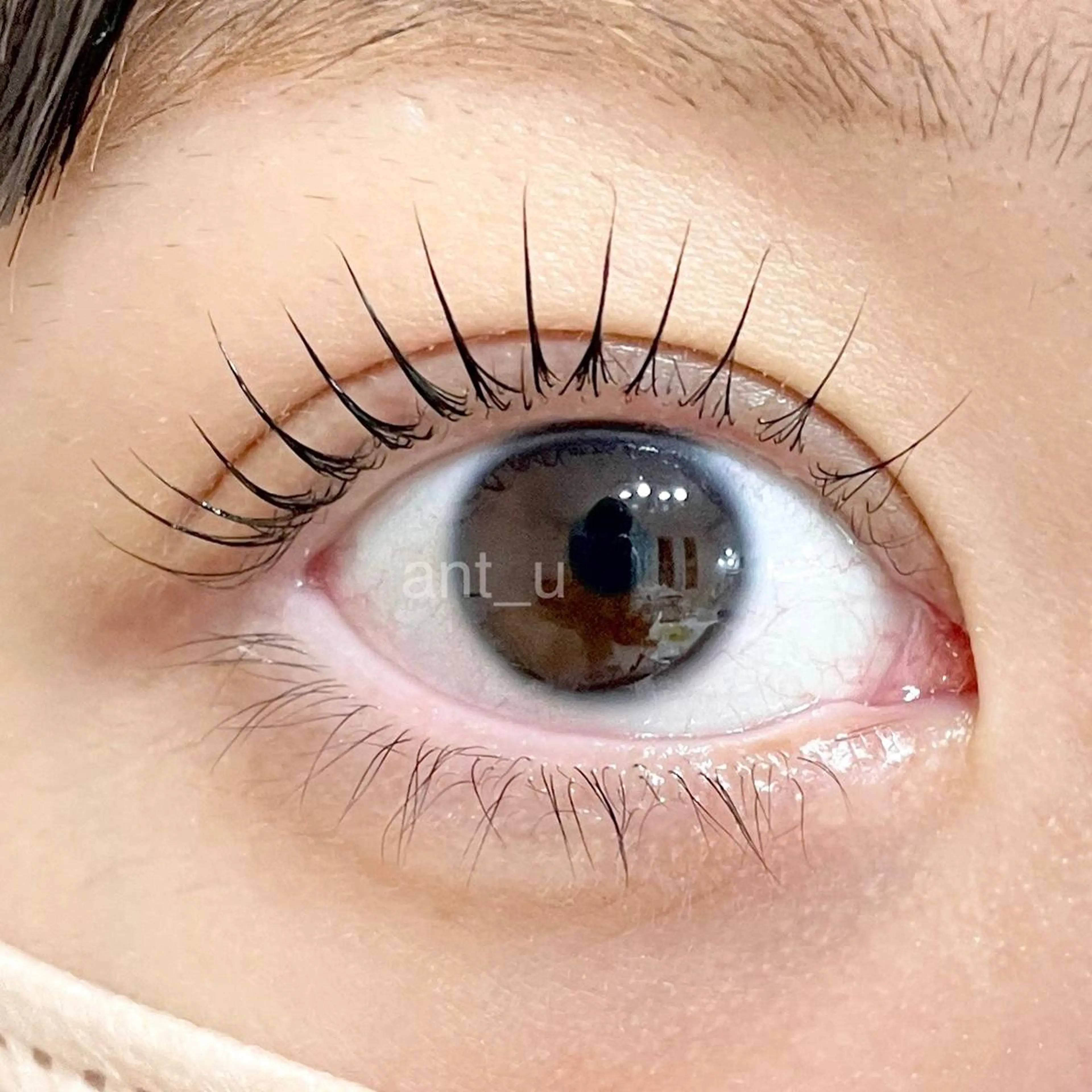 マツエク・マツパ ant_u🌷 arisaのマツエク・マツパデザイン