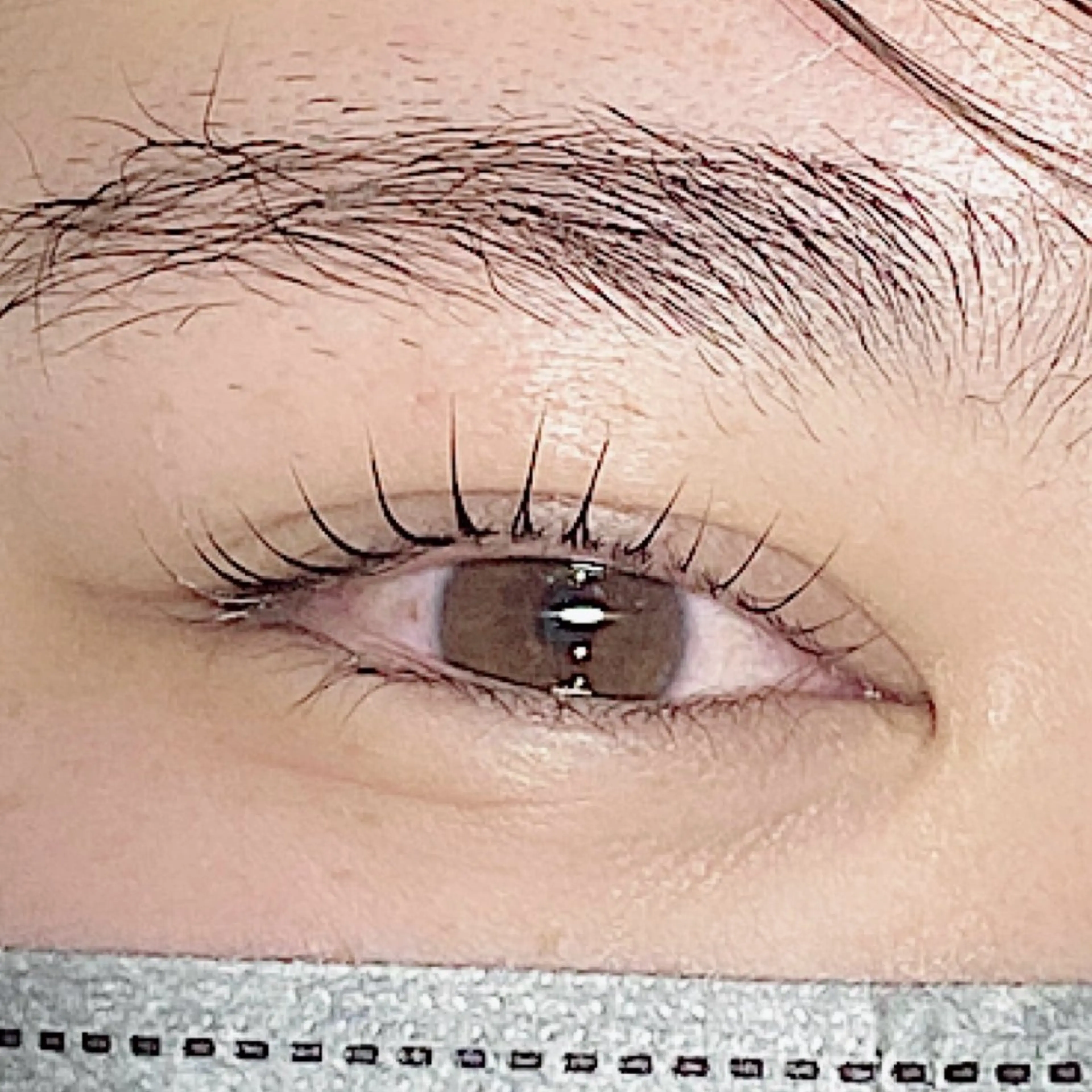 再来【次世代まつげパーマ】パリジェンヌラッシュリフト🎀6,600円→4,800円の写真