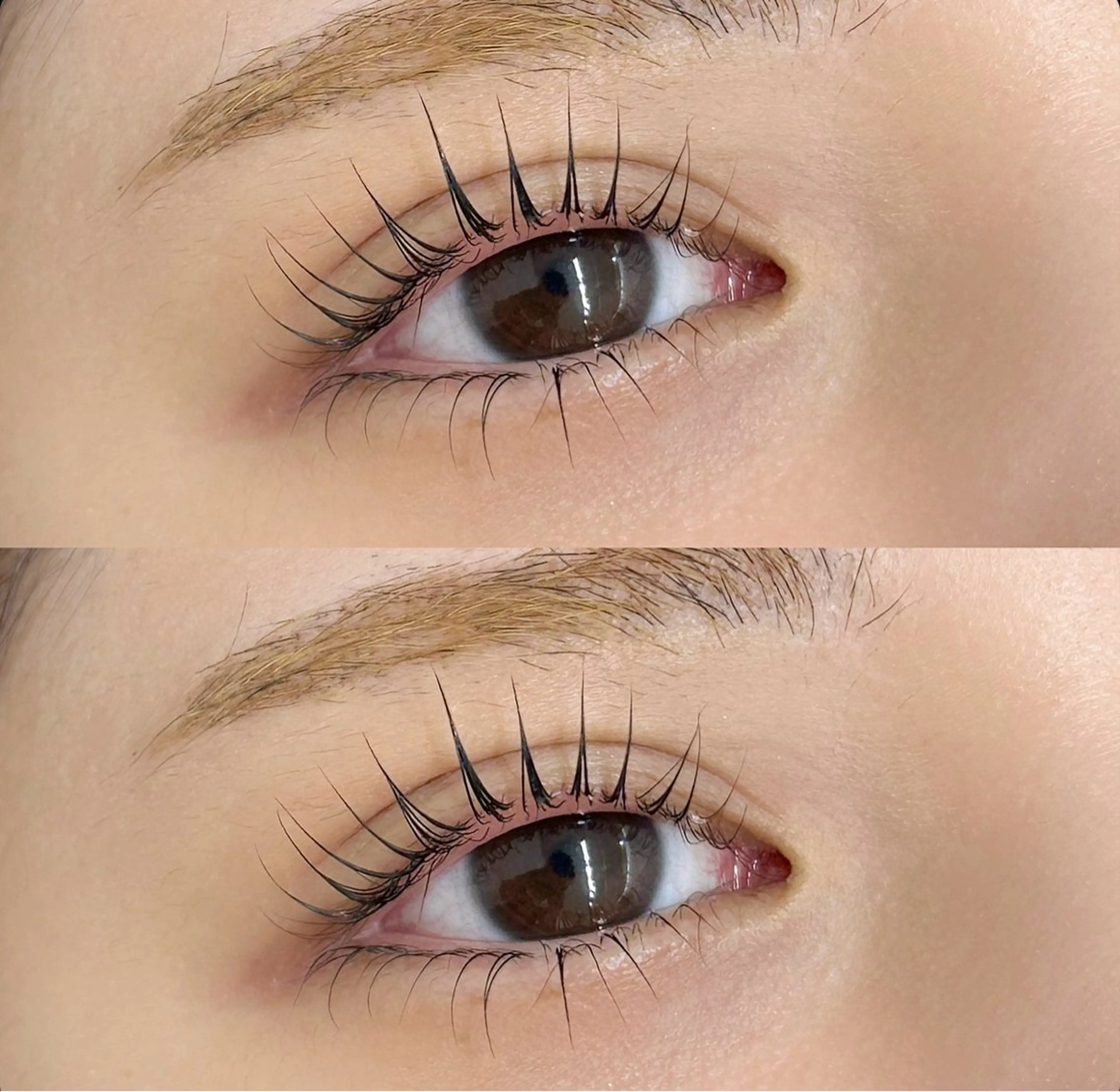 まつげパーマ上下🎀【利用条件あり】の写真