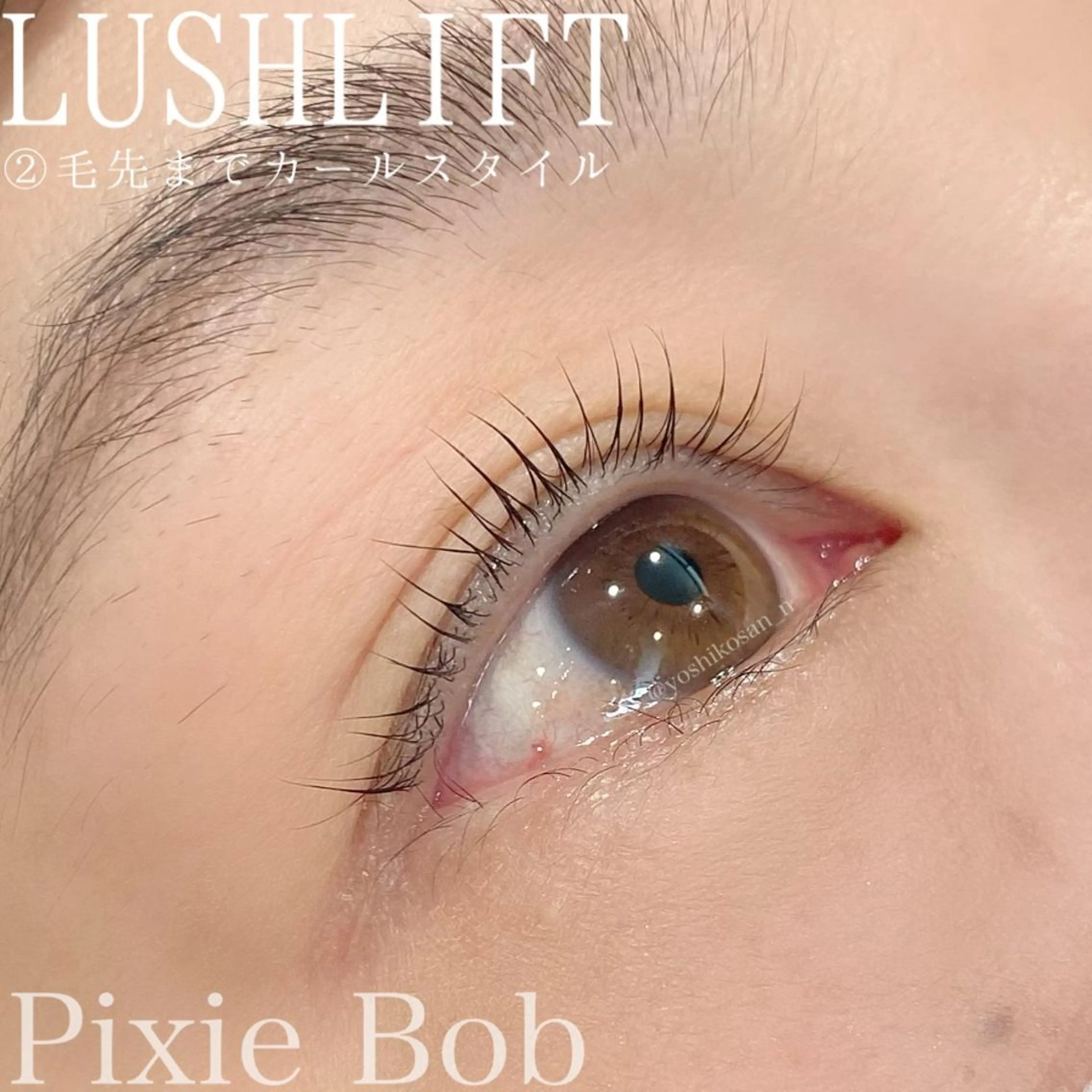 マツエク・マツパ Pixie Bob 🐈‍⬛　位田のマツエク・マツパデザイン