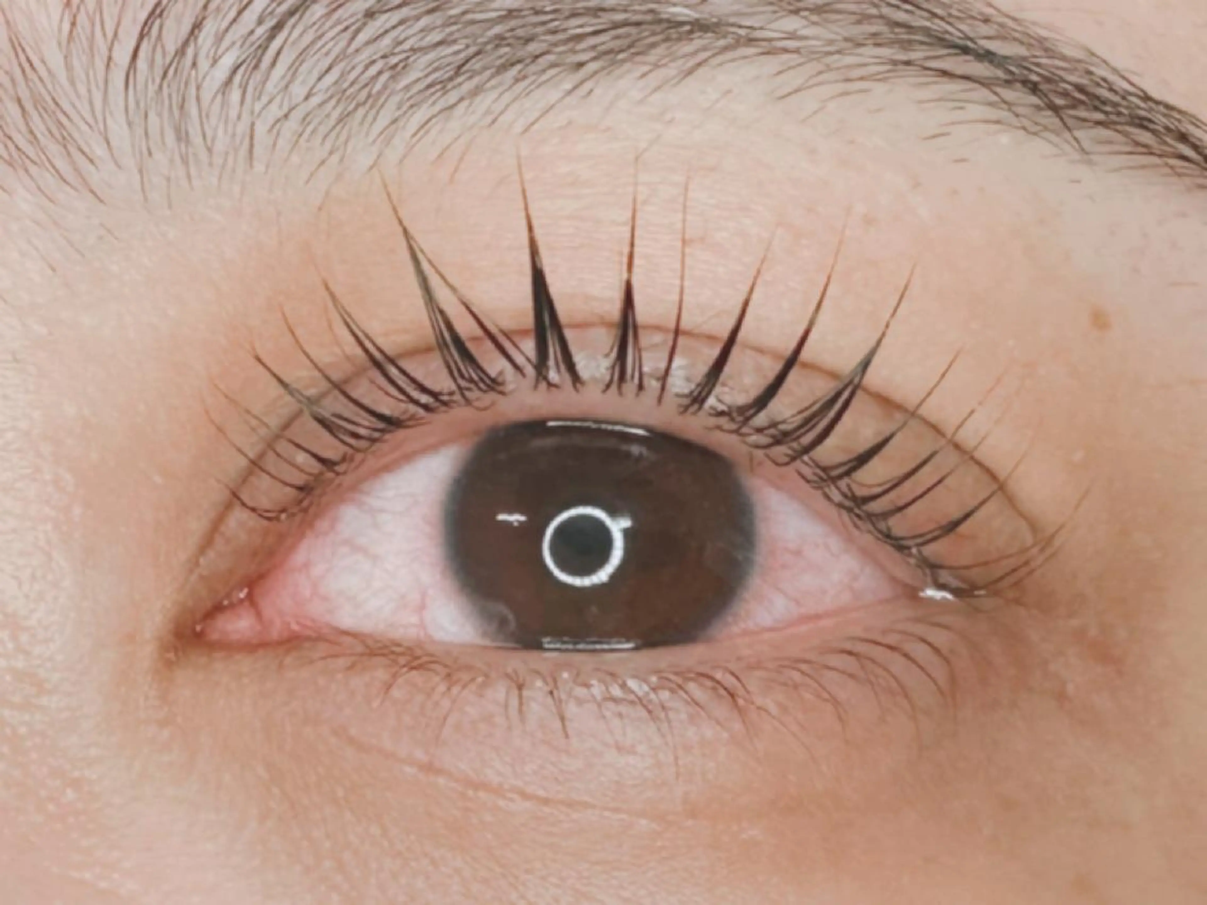 マツエク・マツパ パリジェンヌラッシュリフト 𝐉𝐎𝐋𝐈 アイリスト ❤︎のマツエク・マツパデザイン