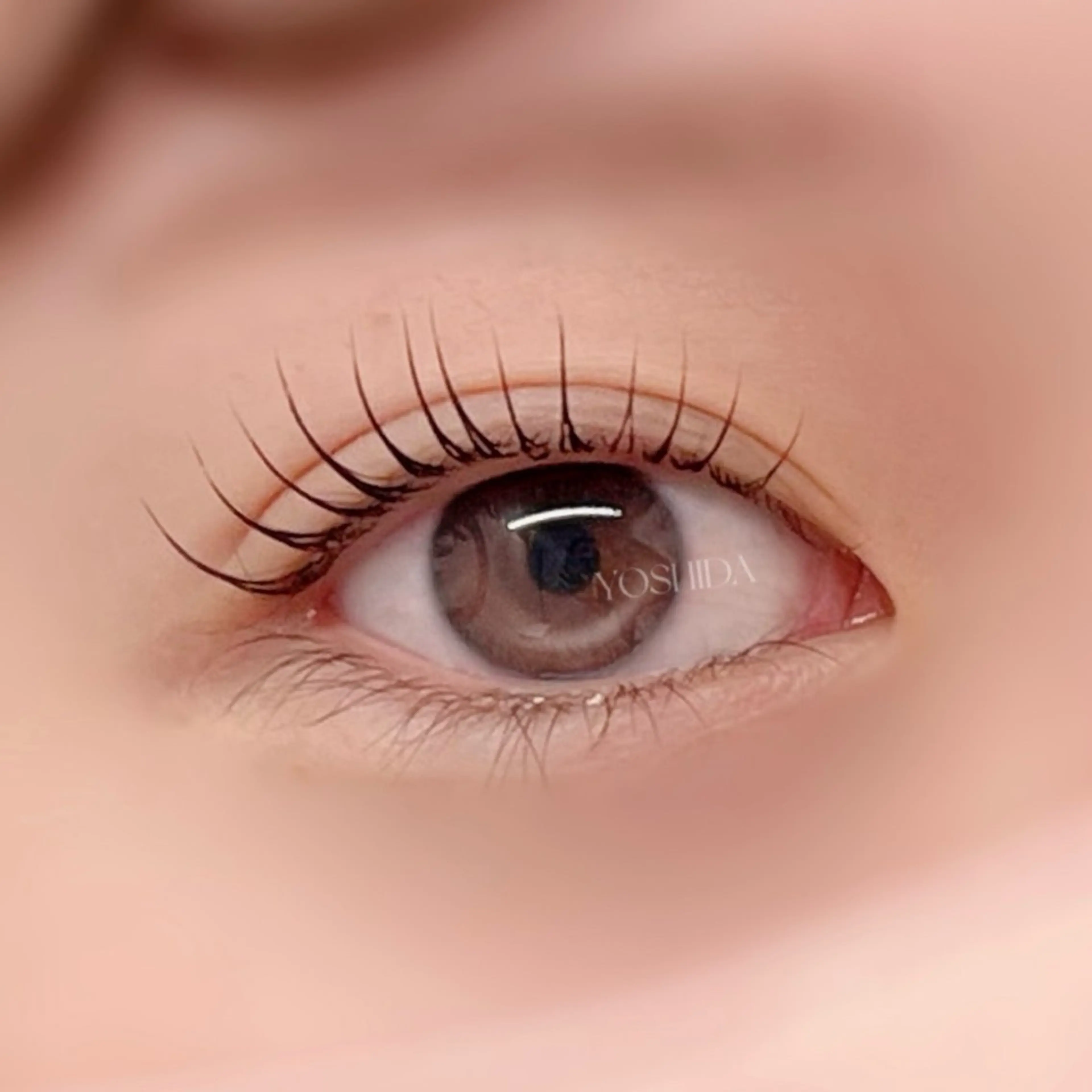 マツエク・マツパ 【一重┊︎奥二重】 YOSHIDA🌙のマツエク・マツパデザイン