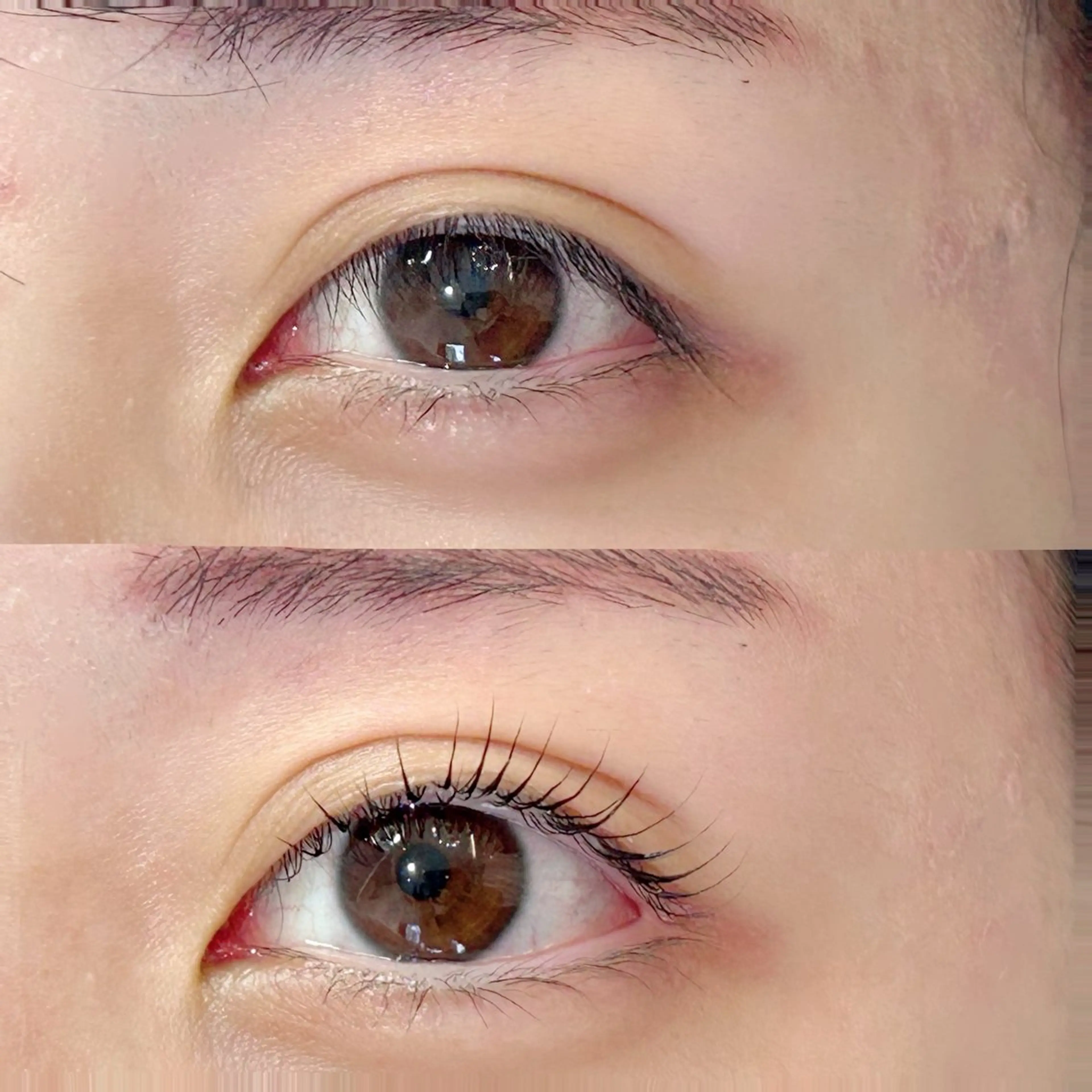 マツエク・マツパ マツパ Frances Miyamotoのマツエク・マツパデザイン