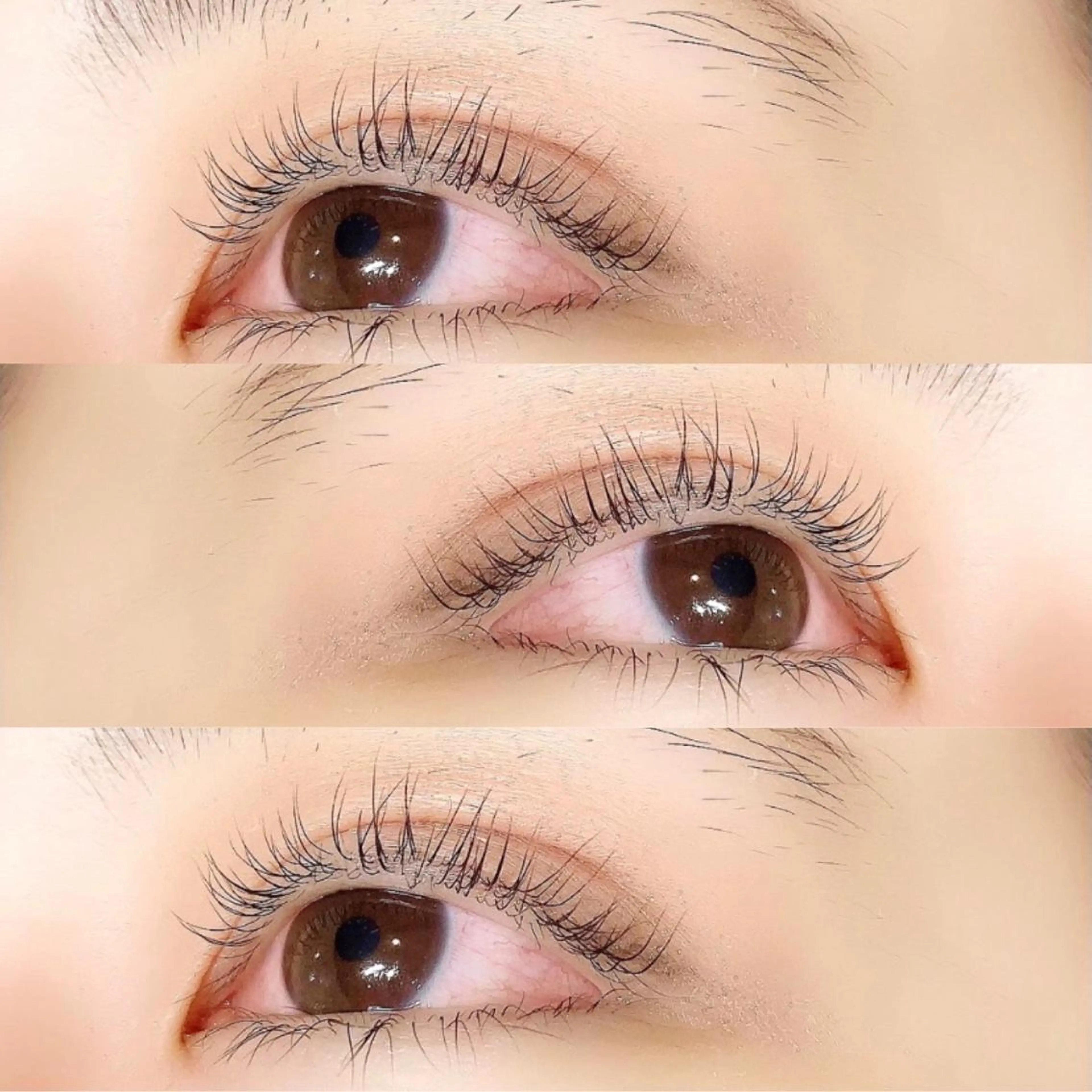 マツエク・マツパ マツパ 【Lanhr】 🕊aya🕊のマツエク・マツパデザイン