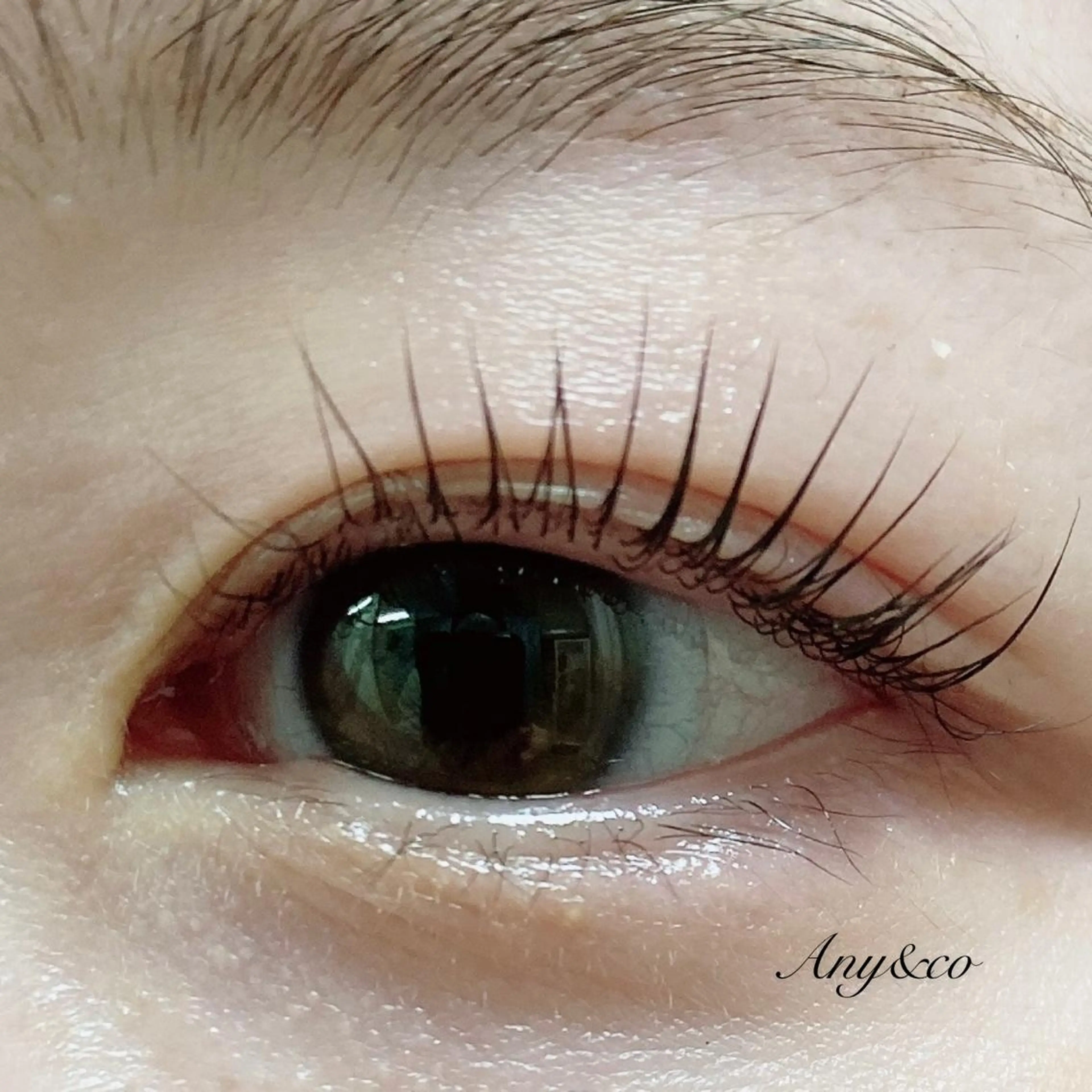 マツエク・マツパ アイリッドアップパーマ Any&co 【エニコ】のマツエク・マツパデザイン