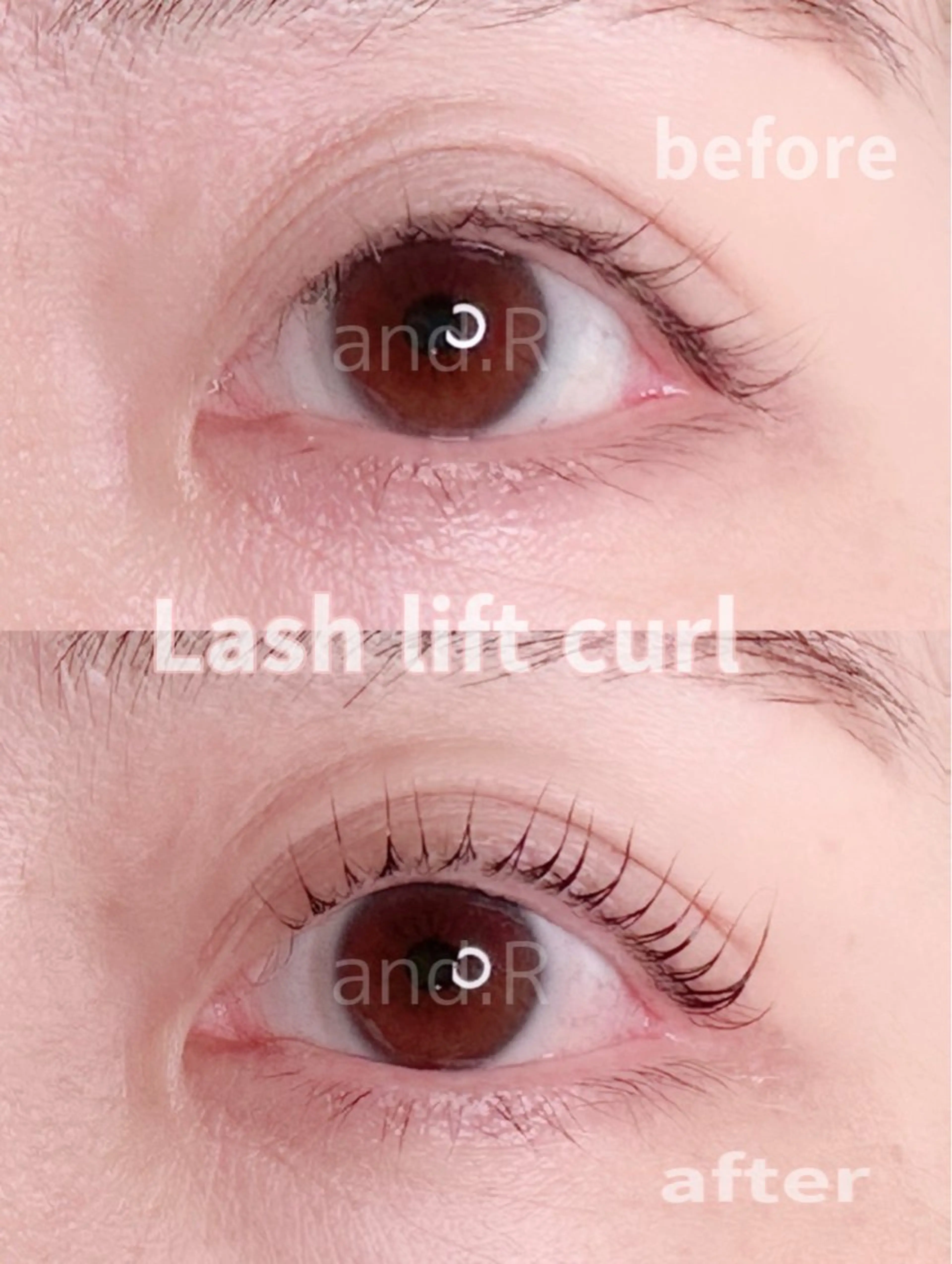 マツエク・マツパ Lカール 一重×まつ毛パーマ 【and.R 】齋藤 惠女のマツエク・マツパデザイン