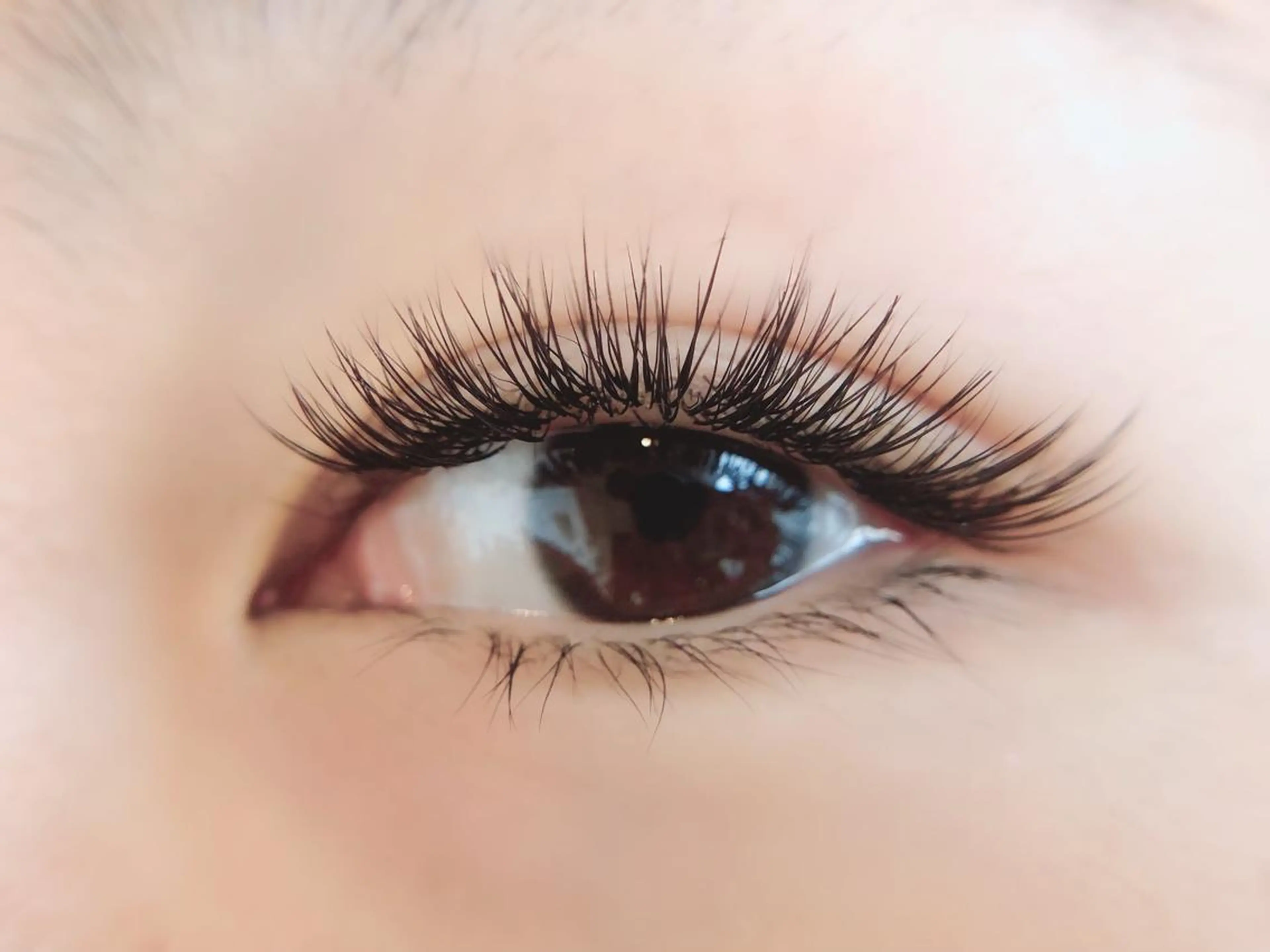 ボリュームラッシュ【120束まで】の写真