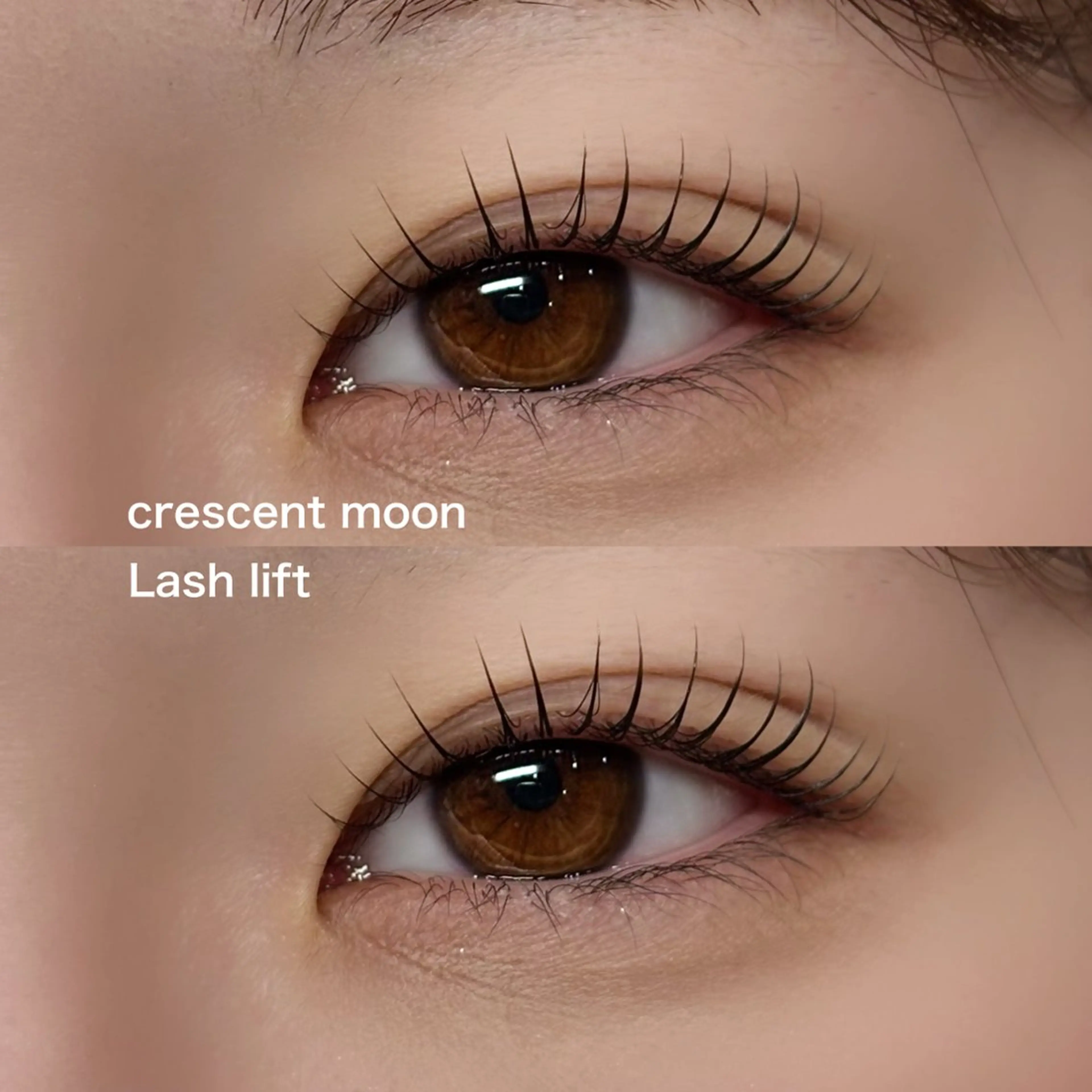 マツエク・マツパ マツパ 🪴LiNA 菅原愛佳のマツエク・マツパデザイン