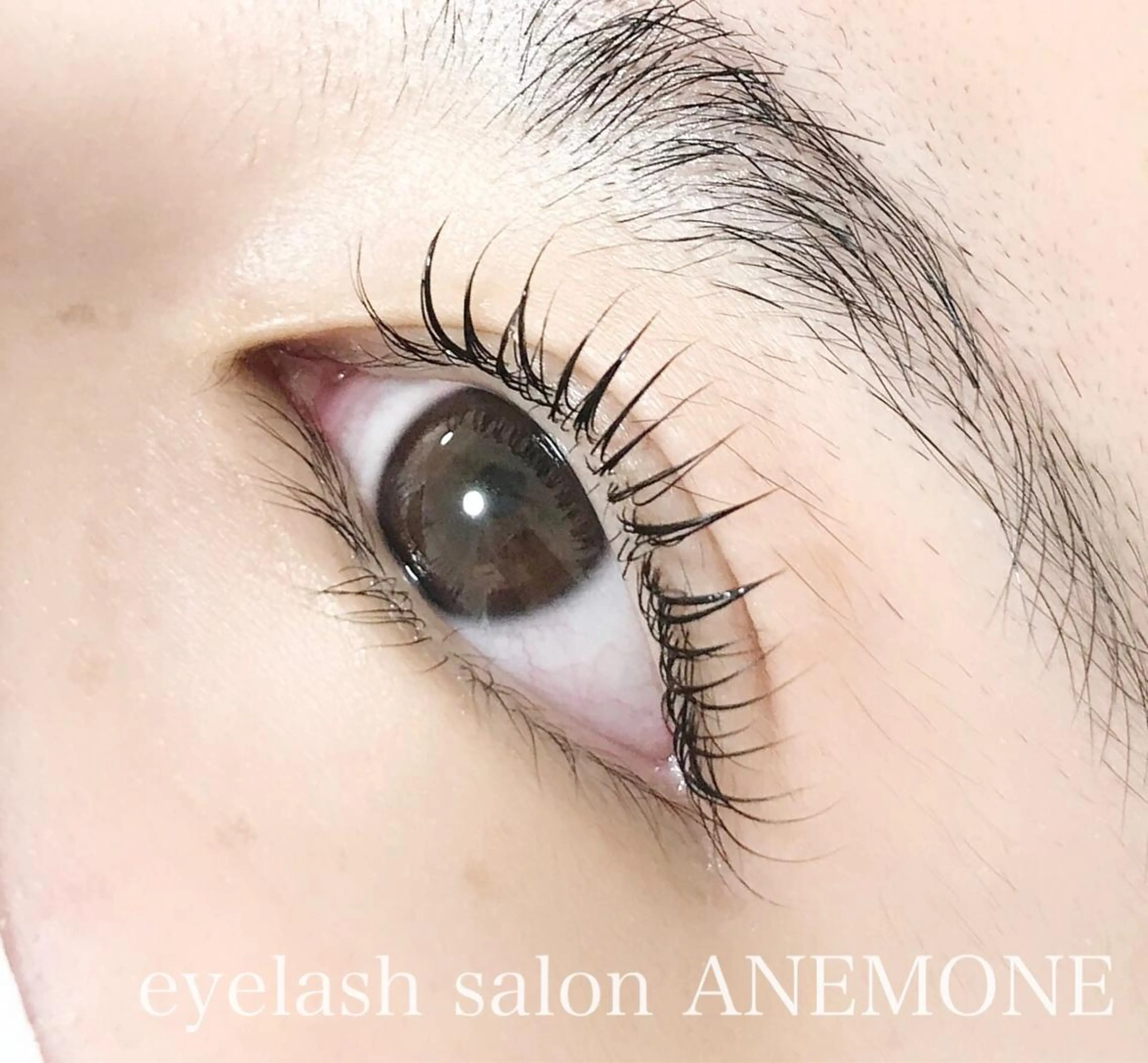 15日限定🌸まつげパーマ 2600円の写真